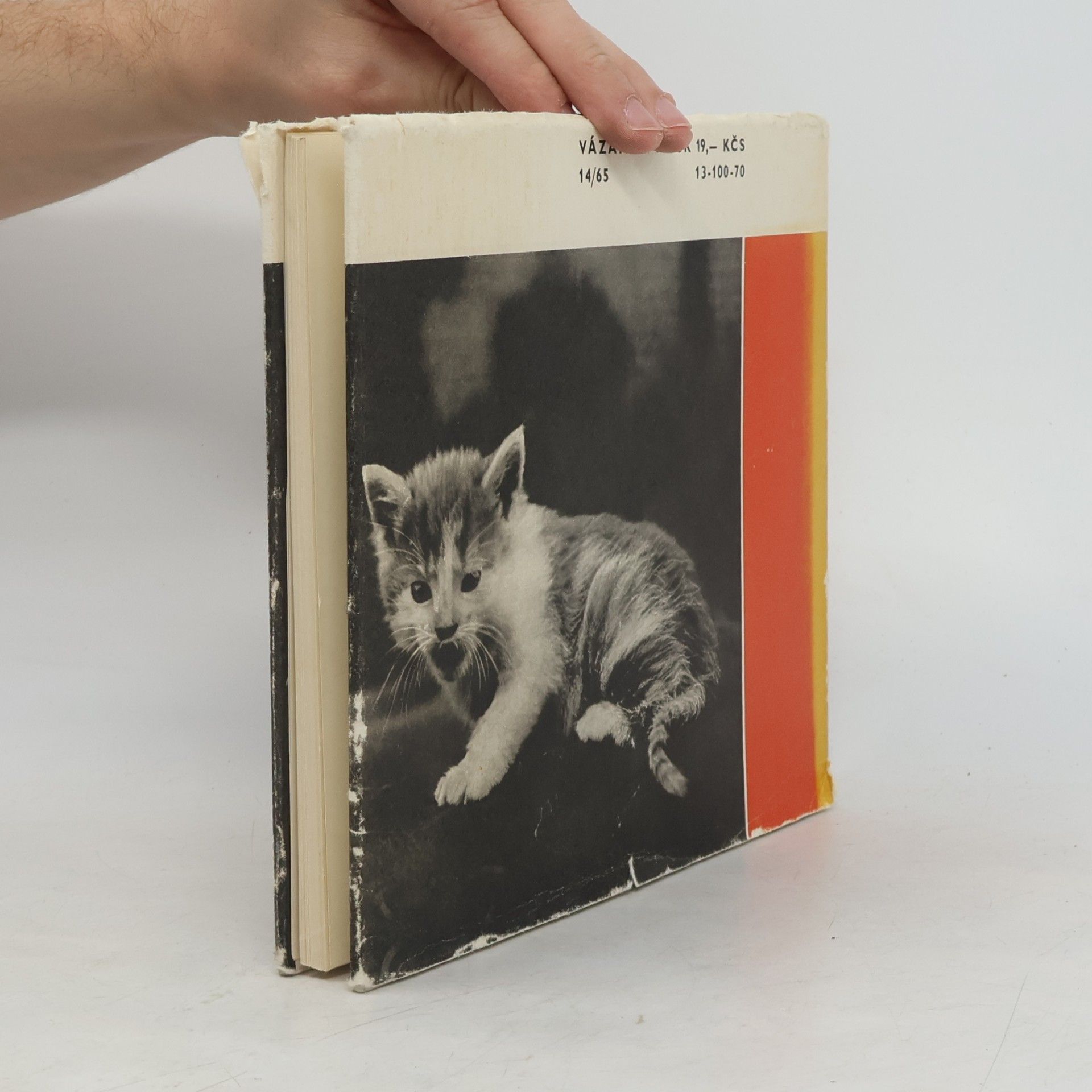 Karel Čapek Pudlenka