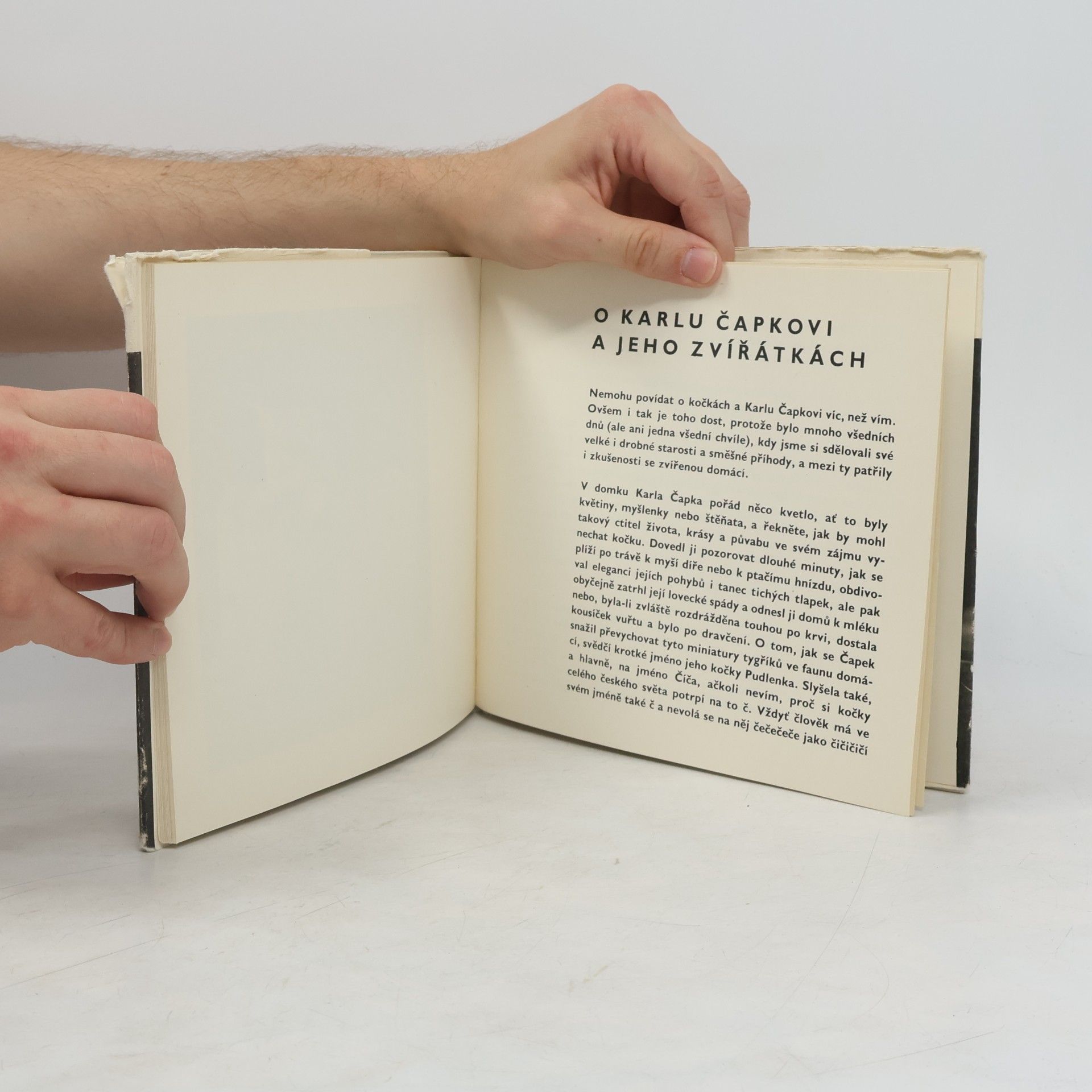 Karel Čapek Pudlenka