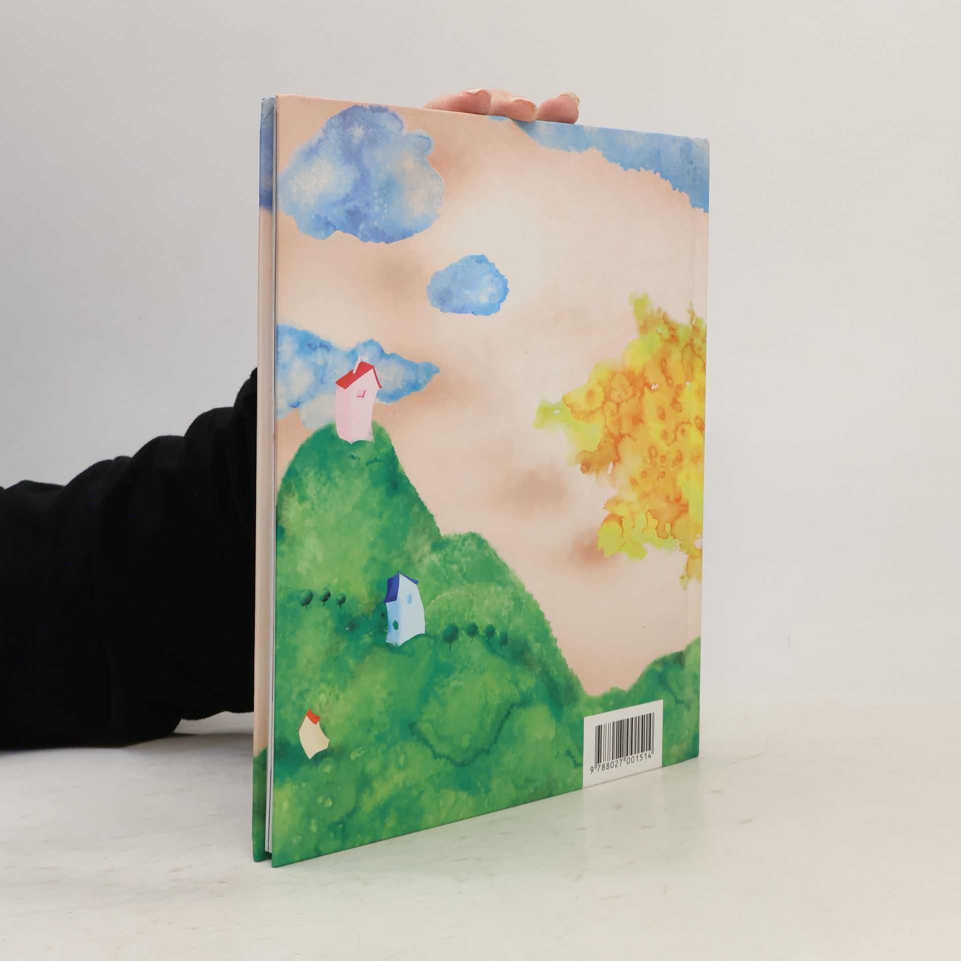 Autorenkollektiv Bambini litera : první knížka pohádek od dětí pro děti