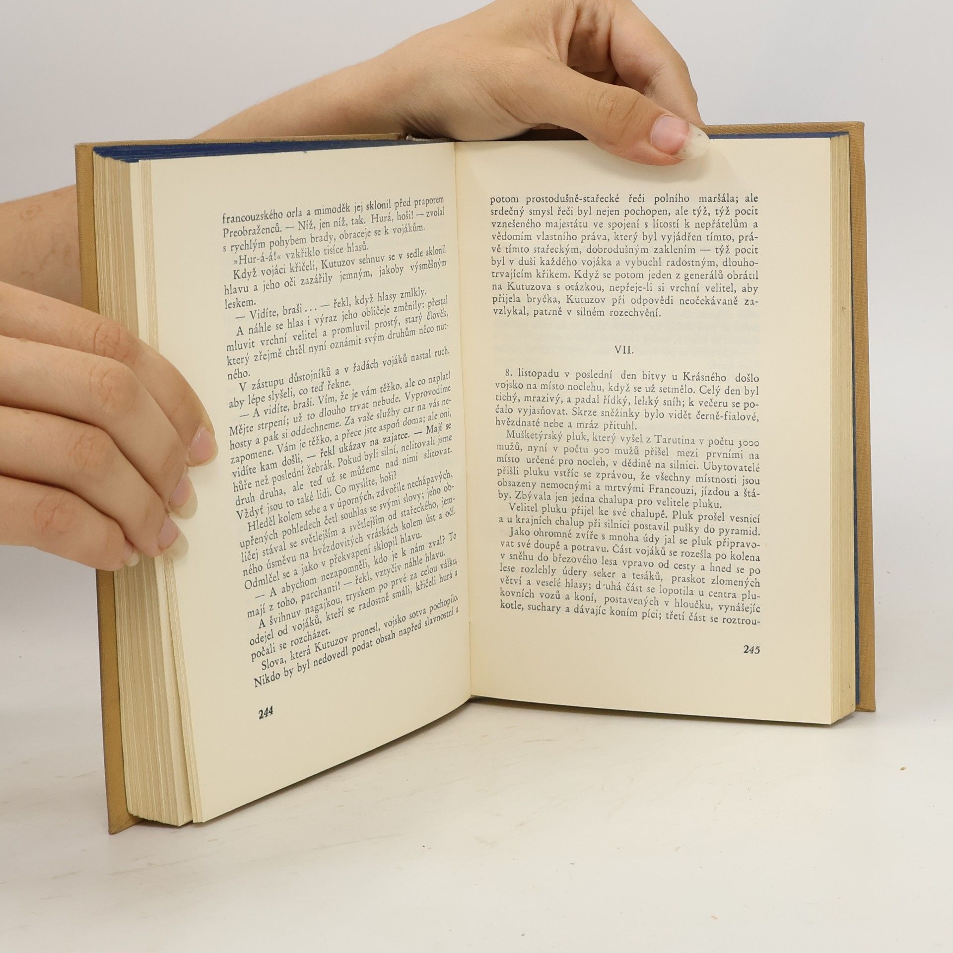 Lew Nikolajewitsch Tolstoi Vojna a mír IV
