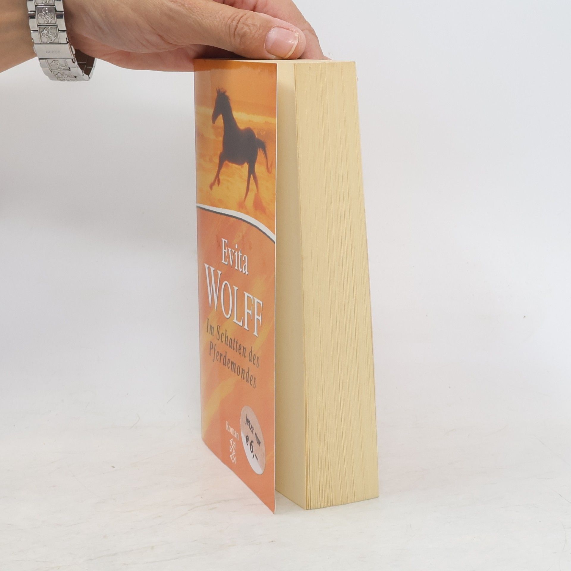 Evita Wolff Im Schatten des Pferdemondes. Sonderausgabe.
