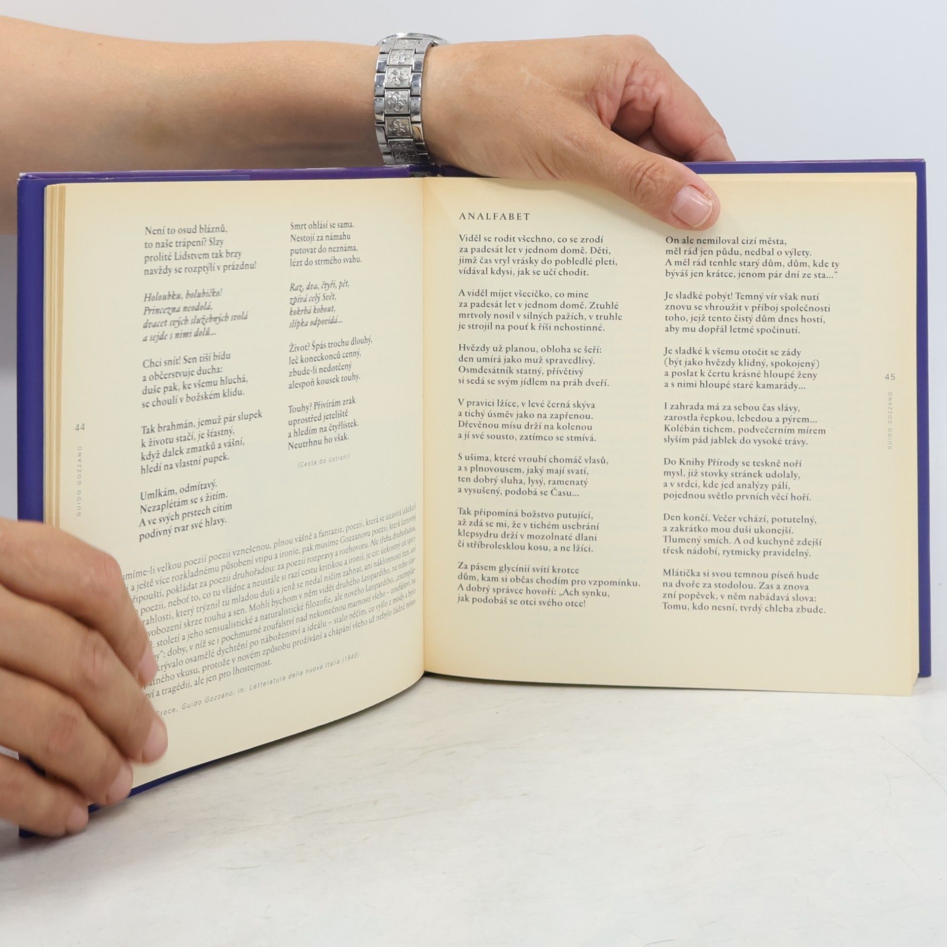 Autorenkollektiv Básníci soumraku. Italská poezie pozdní secese