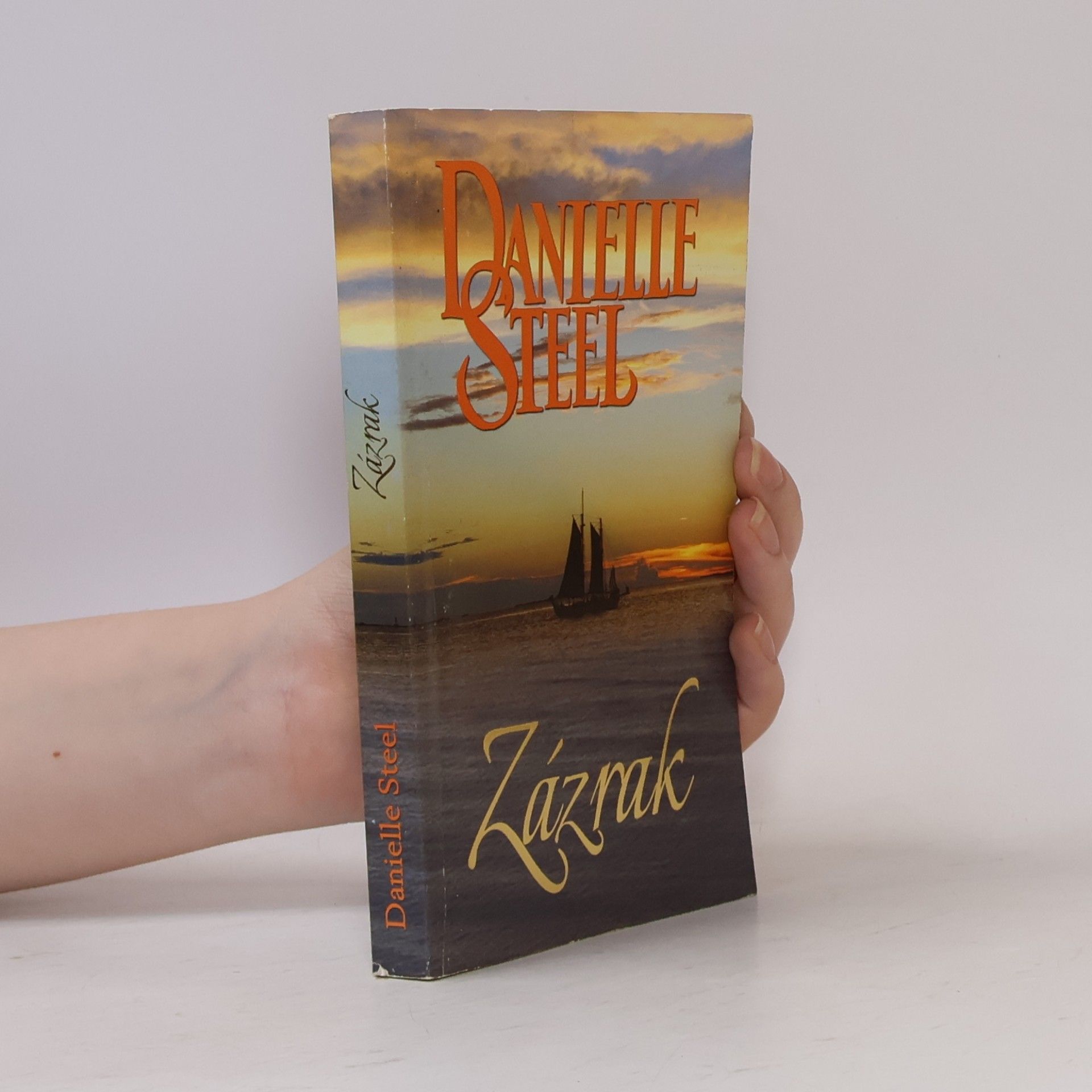 Danielle Steel Zázrak