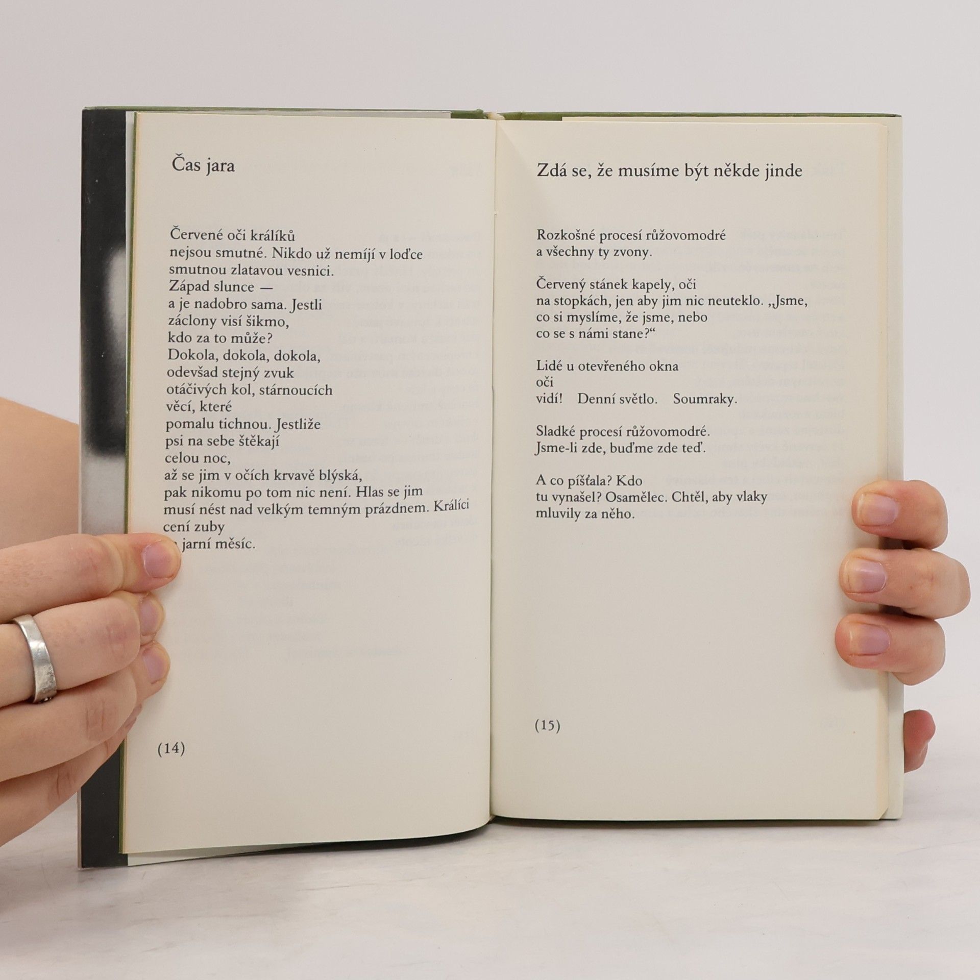 Denise Levertov Já žízeň