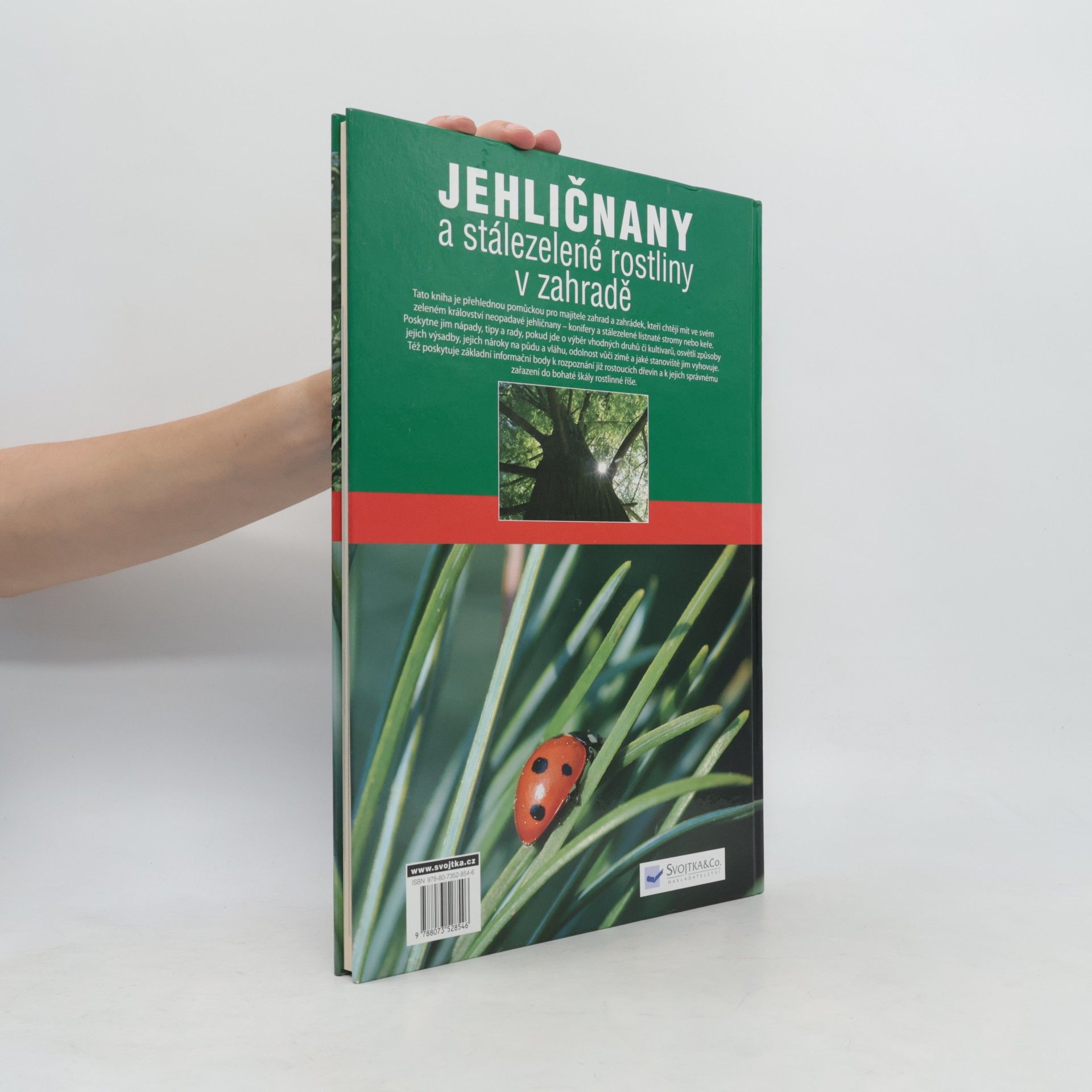 Marcell Kiss Jehličnany a stálezelené rostliny v zahradě