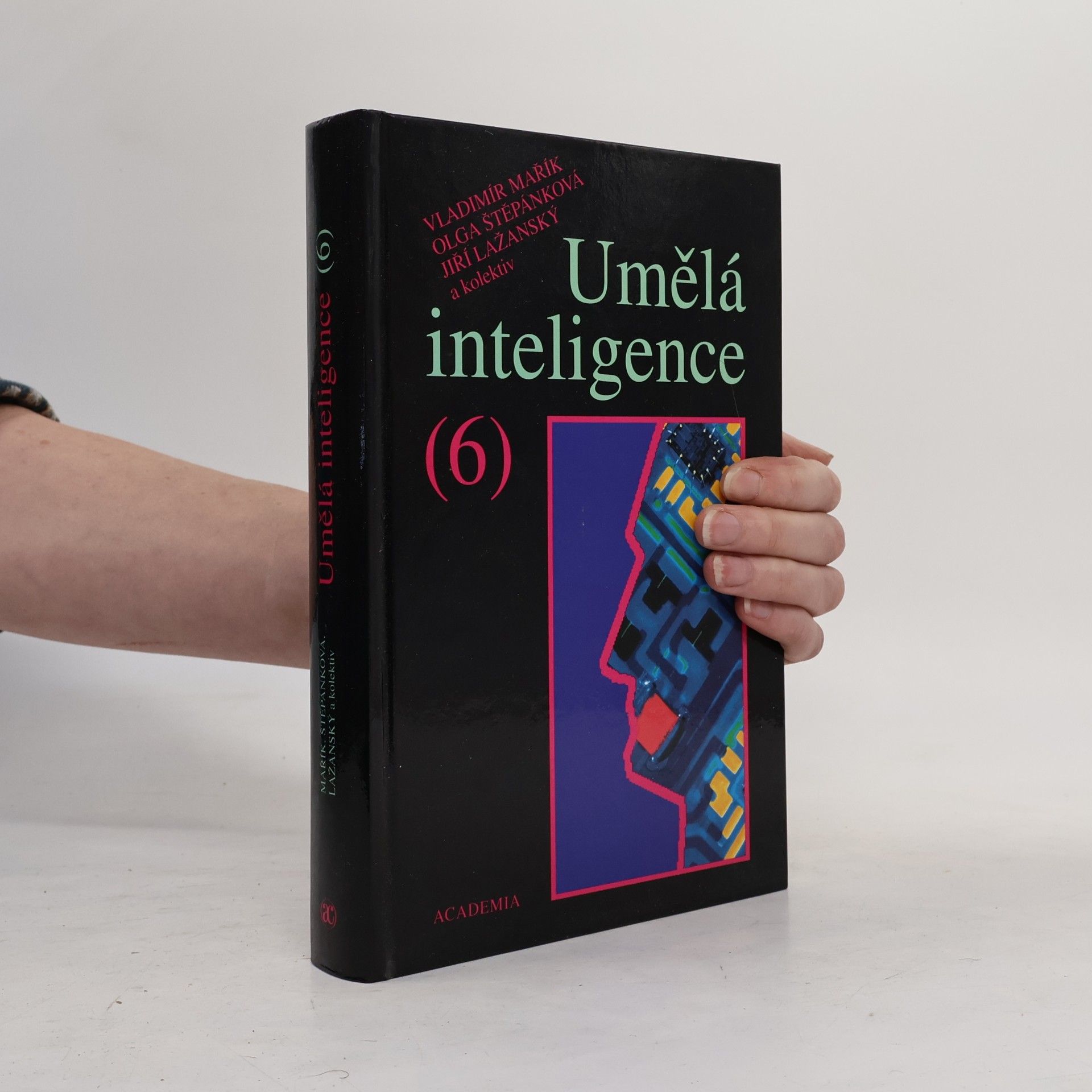 Jiří Lažanský Umělá inteligence. (6)