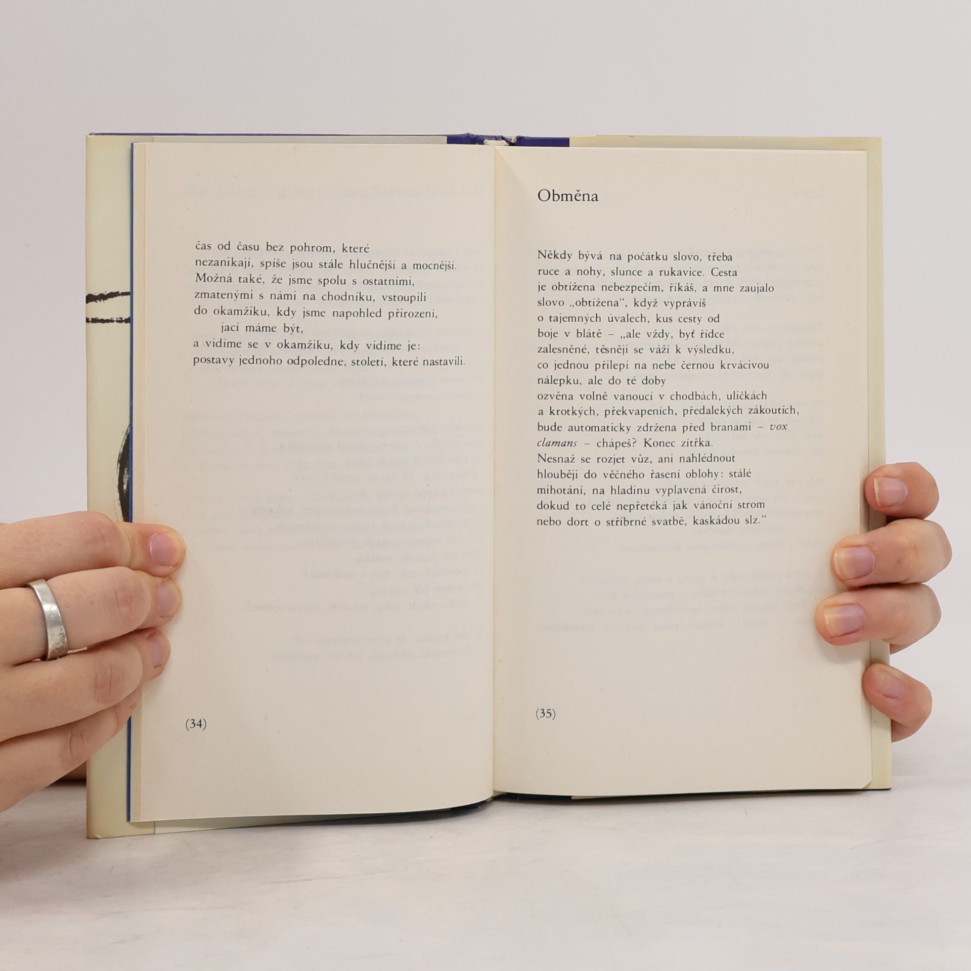 John Ashbery Autoportrét ve vypouklém zrcadle