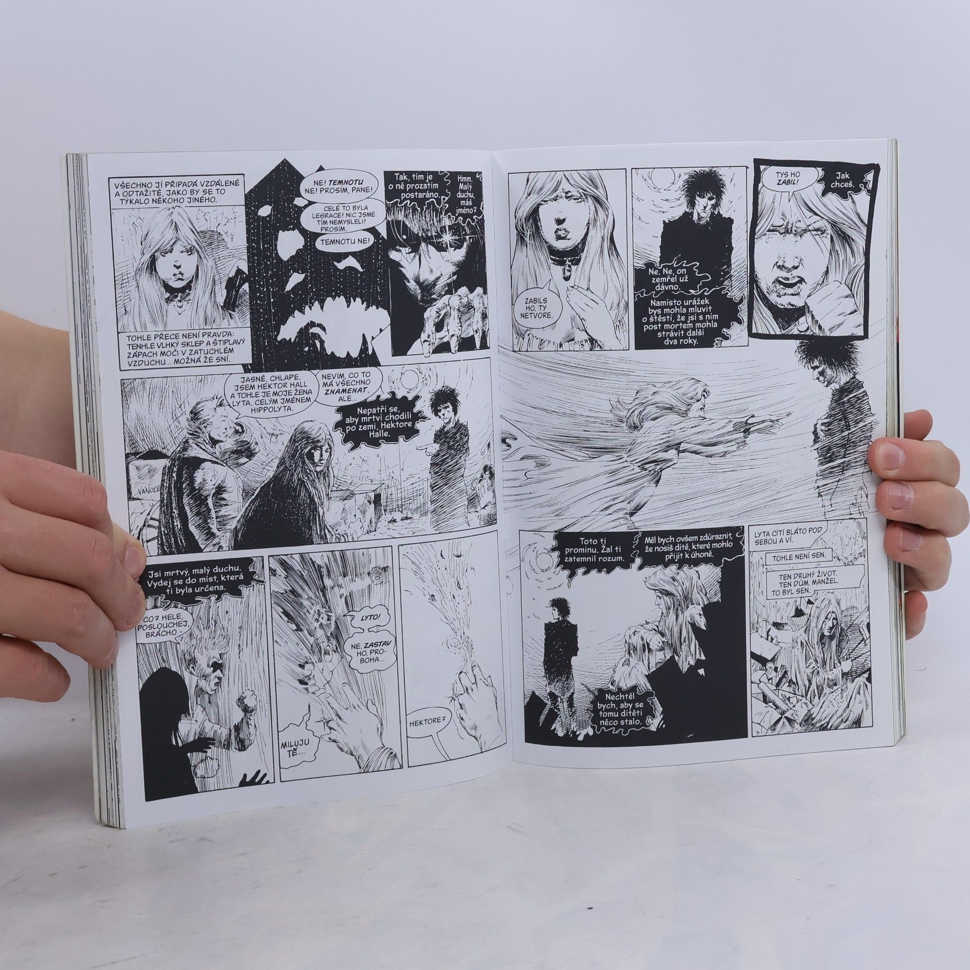 Neil Gaiman Sandman. Domeček pro panenky
