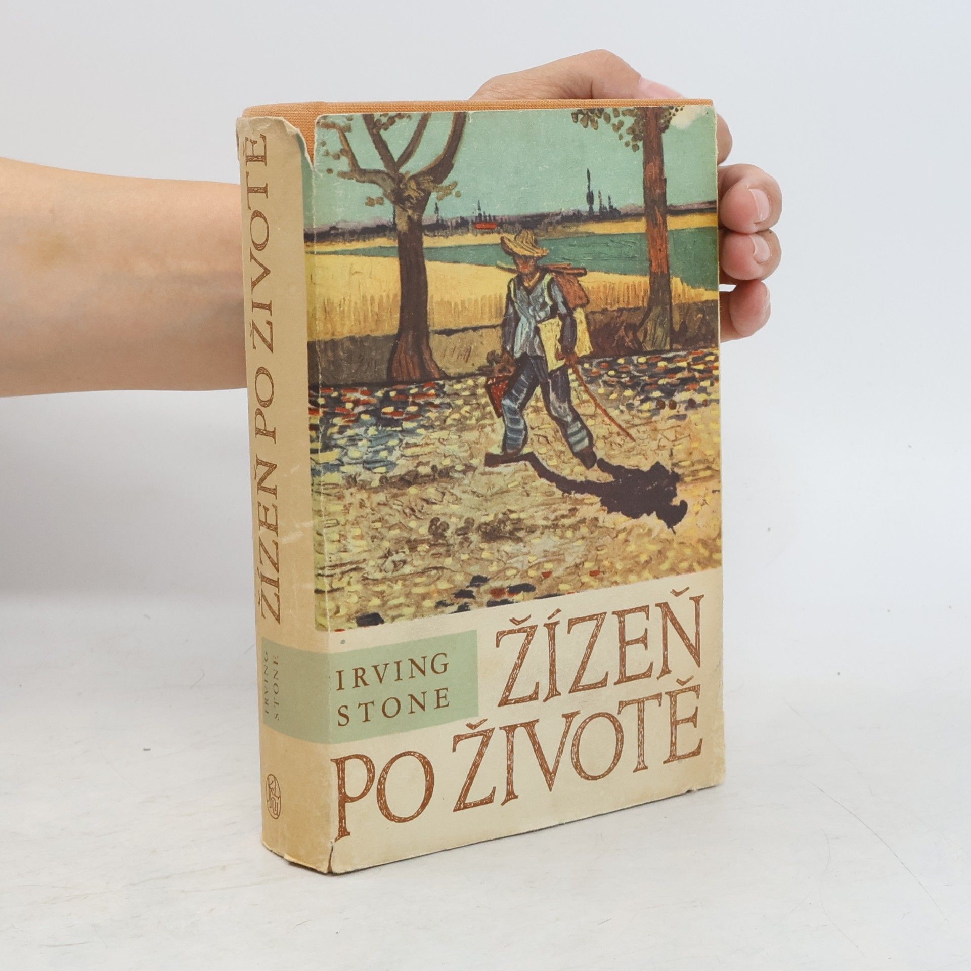 Irving Stone Žízeň po životě