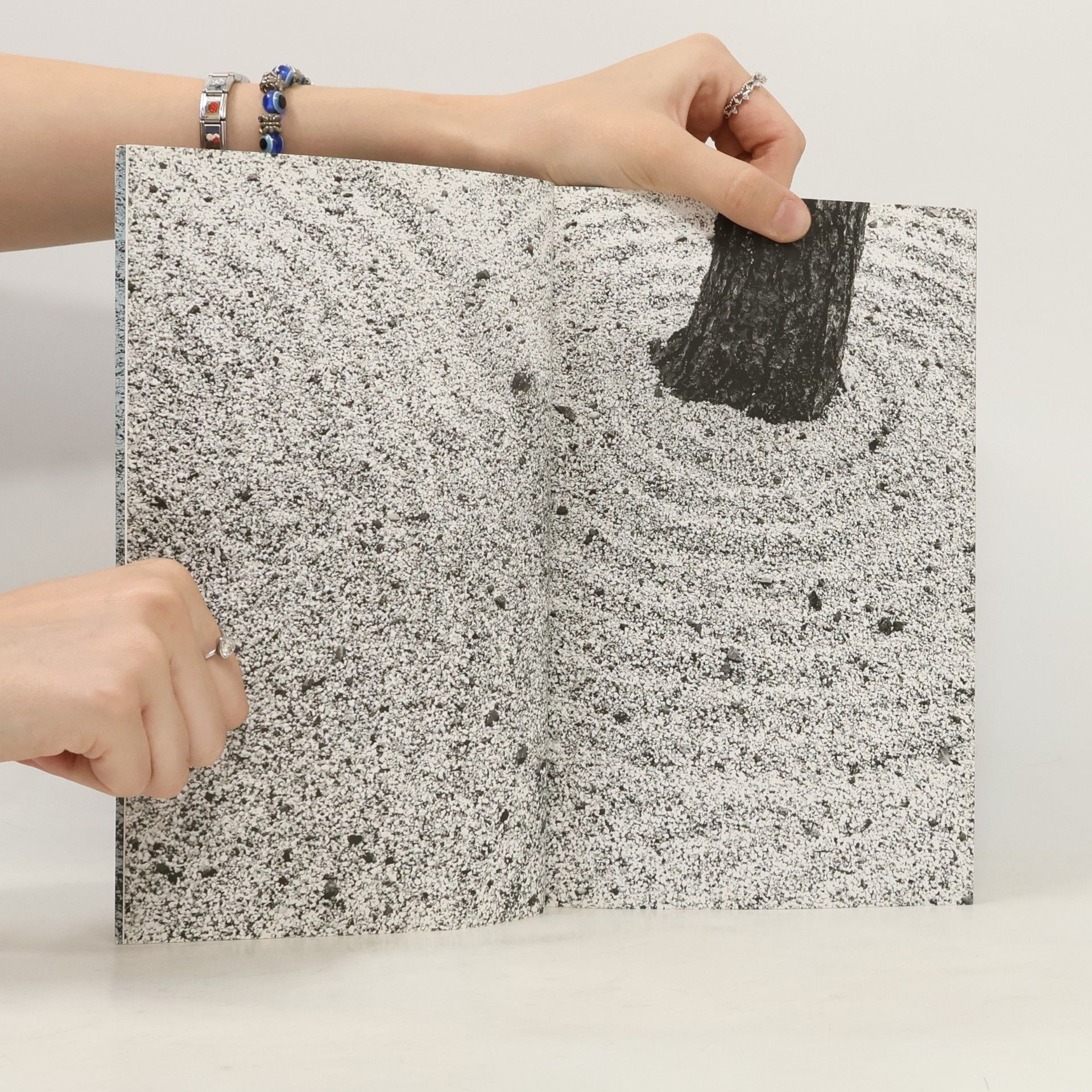 Leonard Koren Gardens of Gravel and Sand