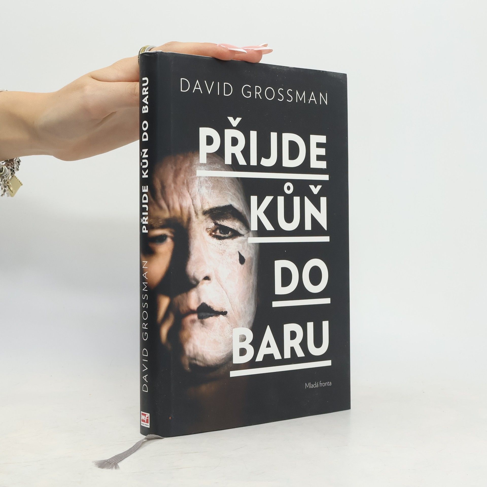 David Grossman Přijde kůň do baru
