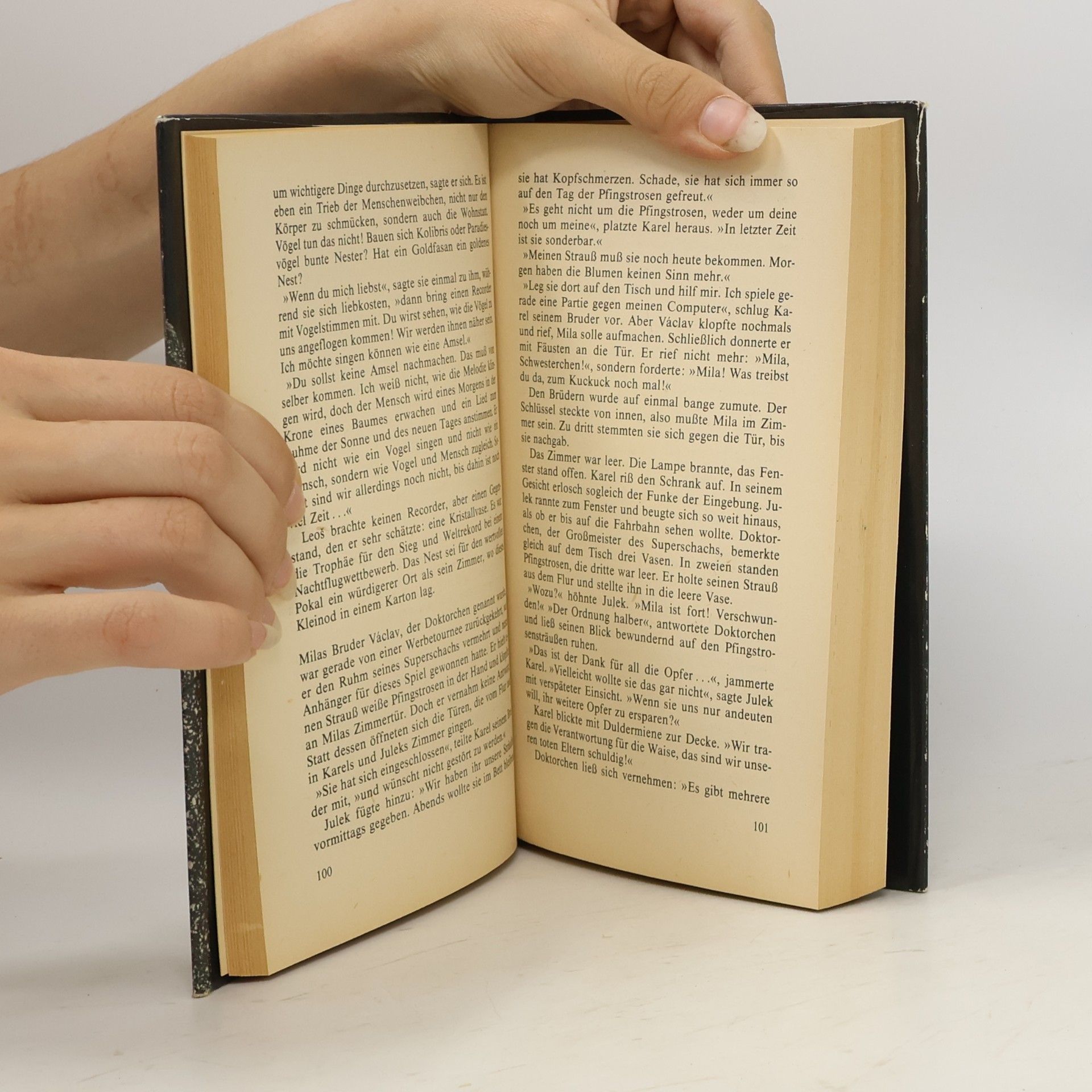 Autorenkollektiv Zeitschleifen Tschechische phantastische Erzählungen