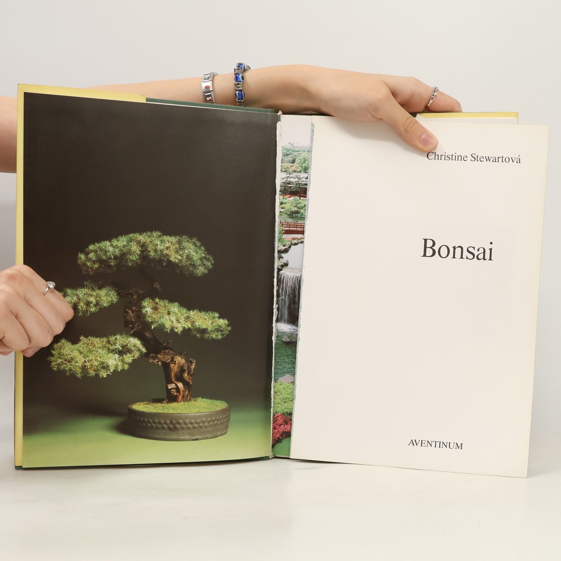 Jan Tykač Bonsai