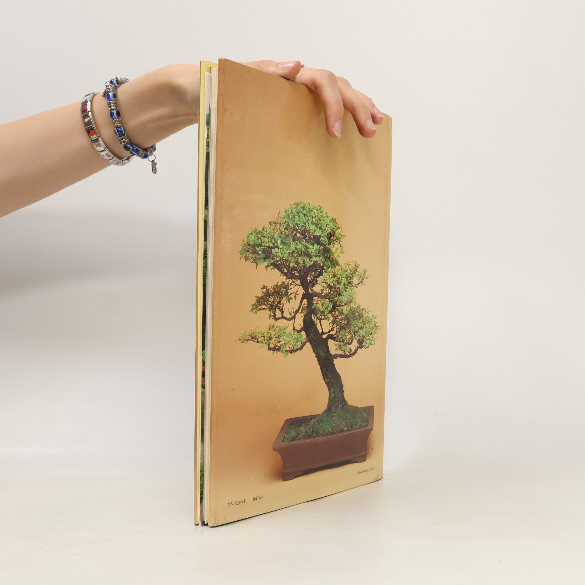 Jan Tykač Bonsai