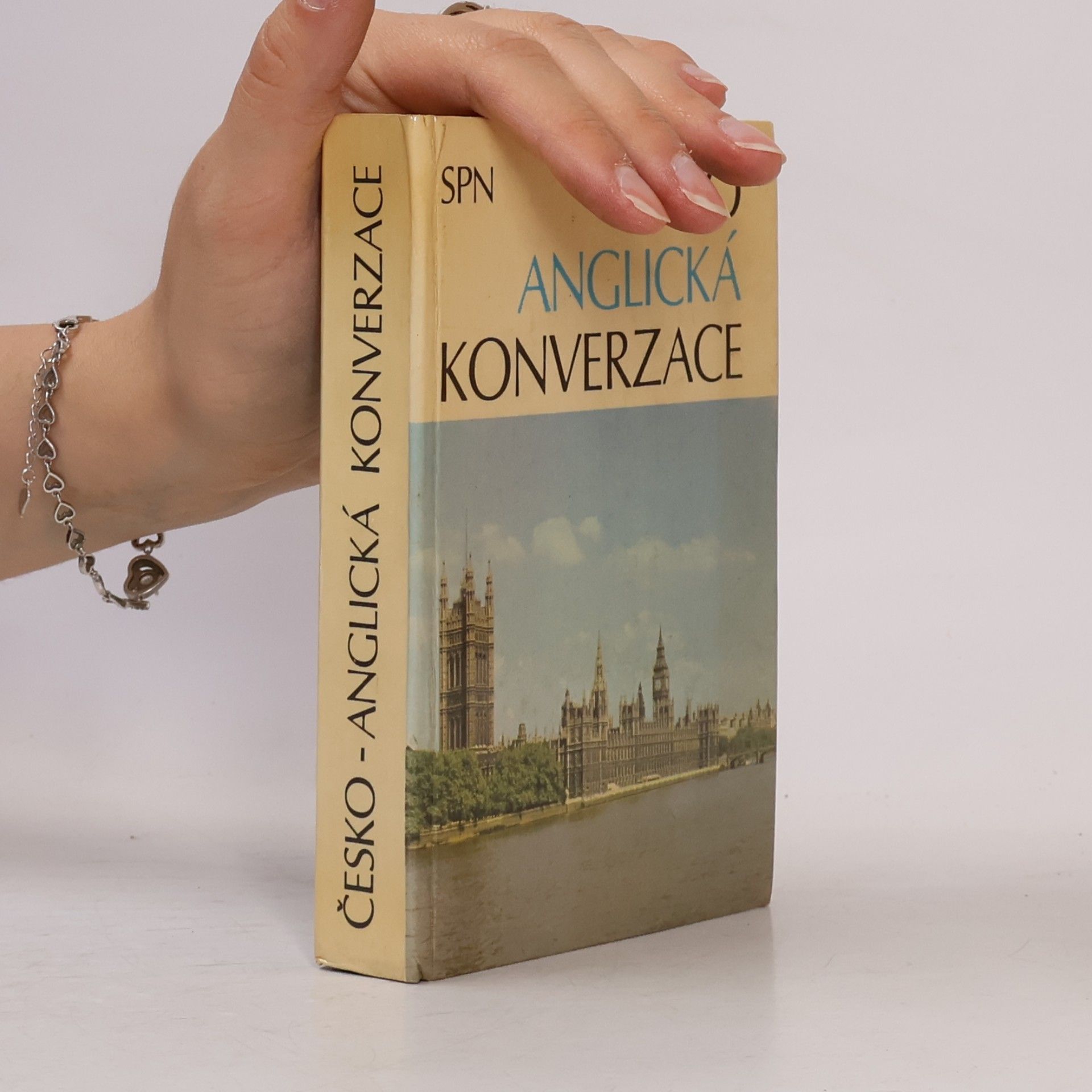 Kolektiv autorů Česko-anglická konverzace