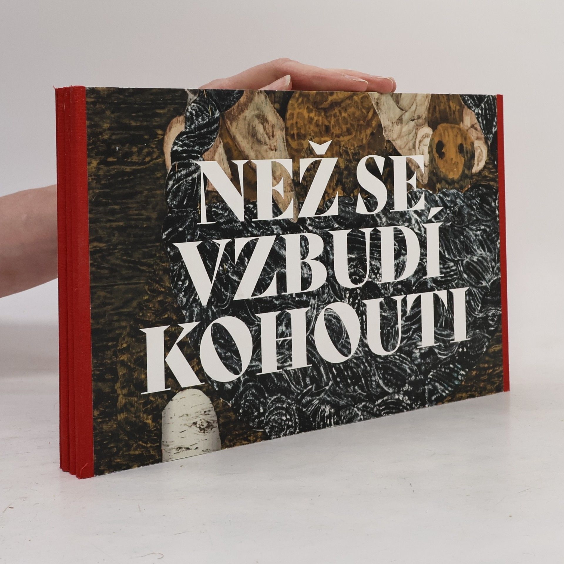 Než se vzbudí kohouti