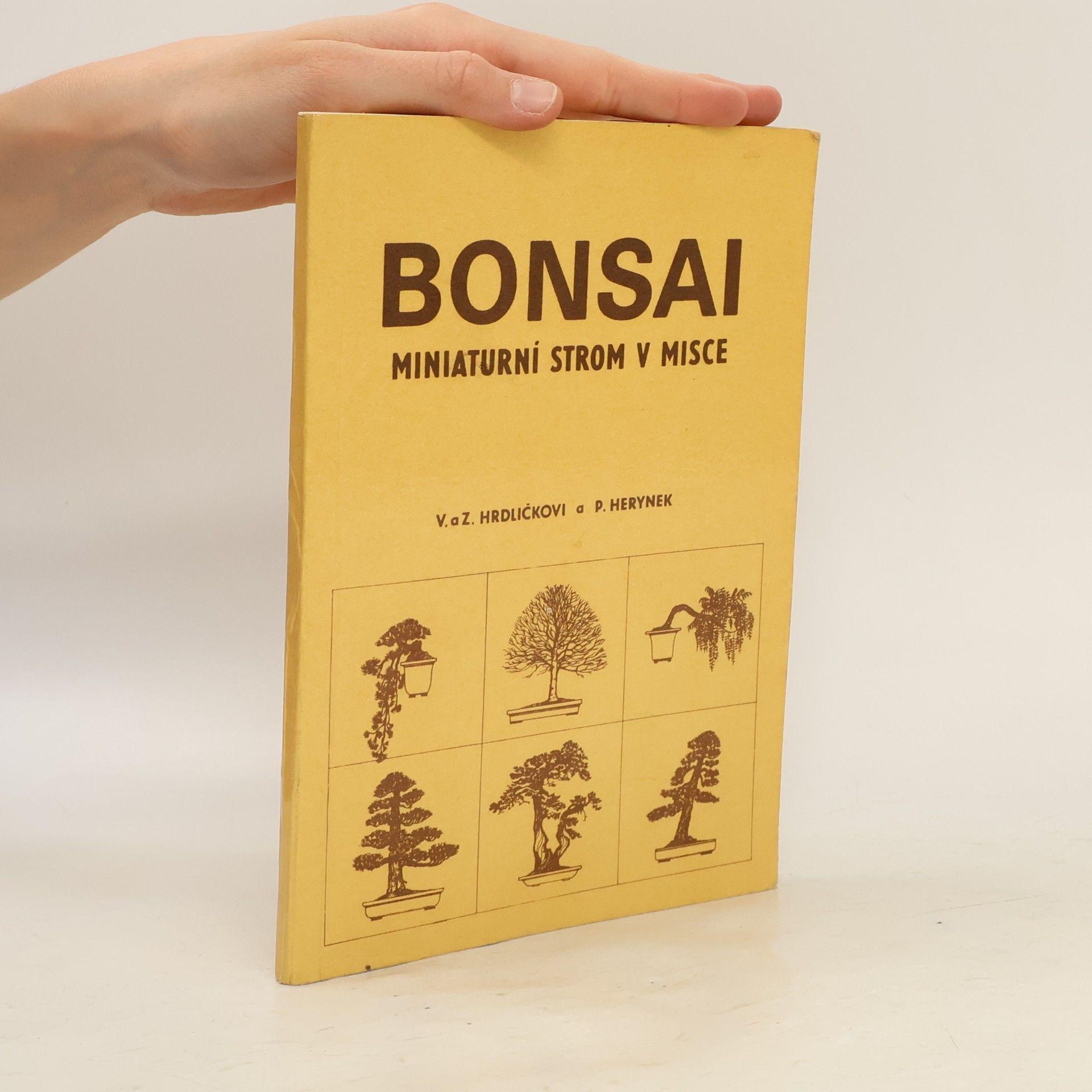 Zdeněk Hrdlička Bonsai. Miniaturní strom v misce