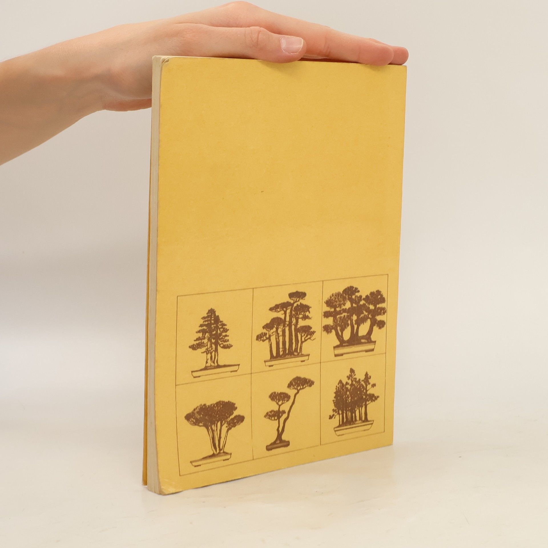 Zdeněk Hrdlička Bonsai. Miniaturní strom v misce
