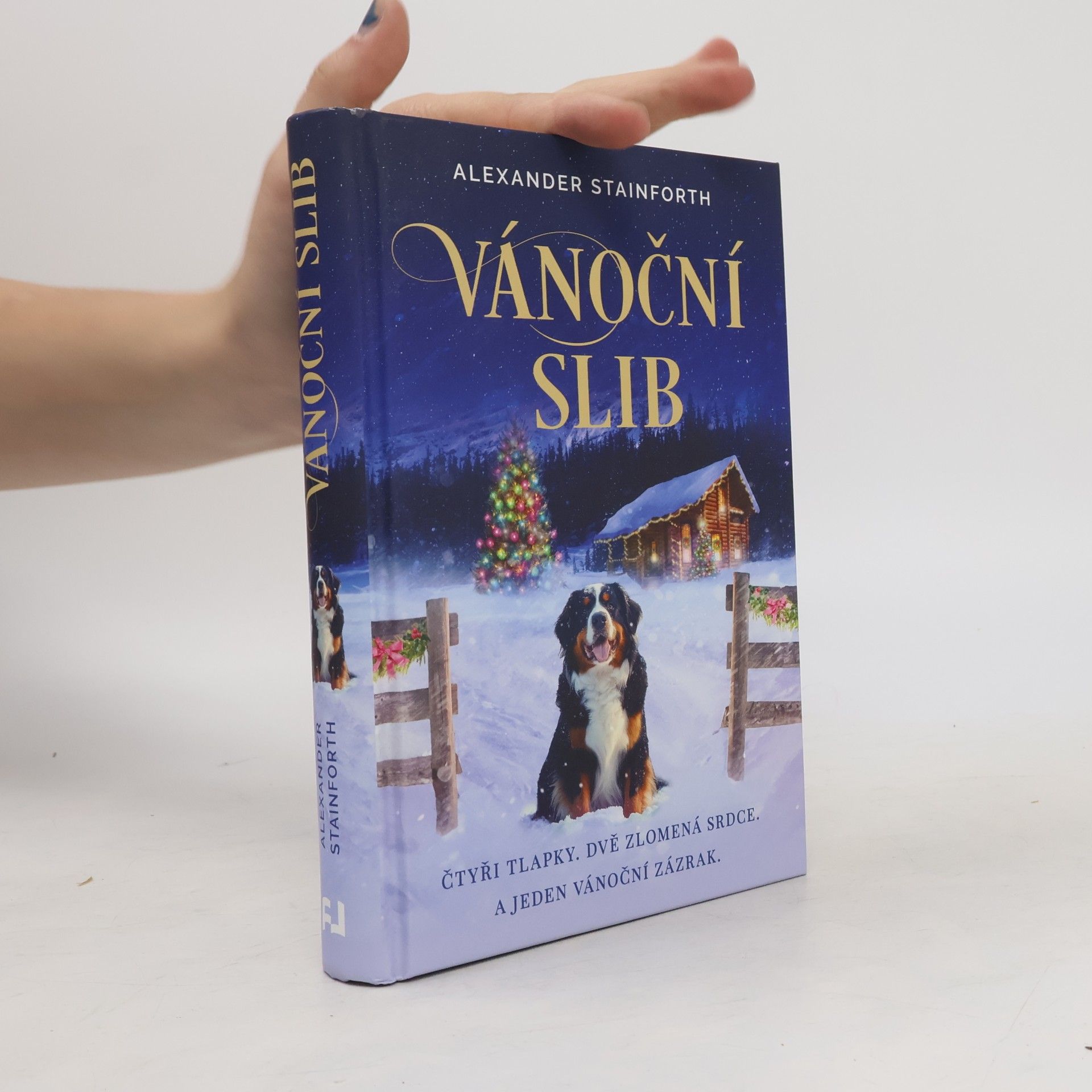 Alexander Stainforth Vánoční slib