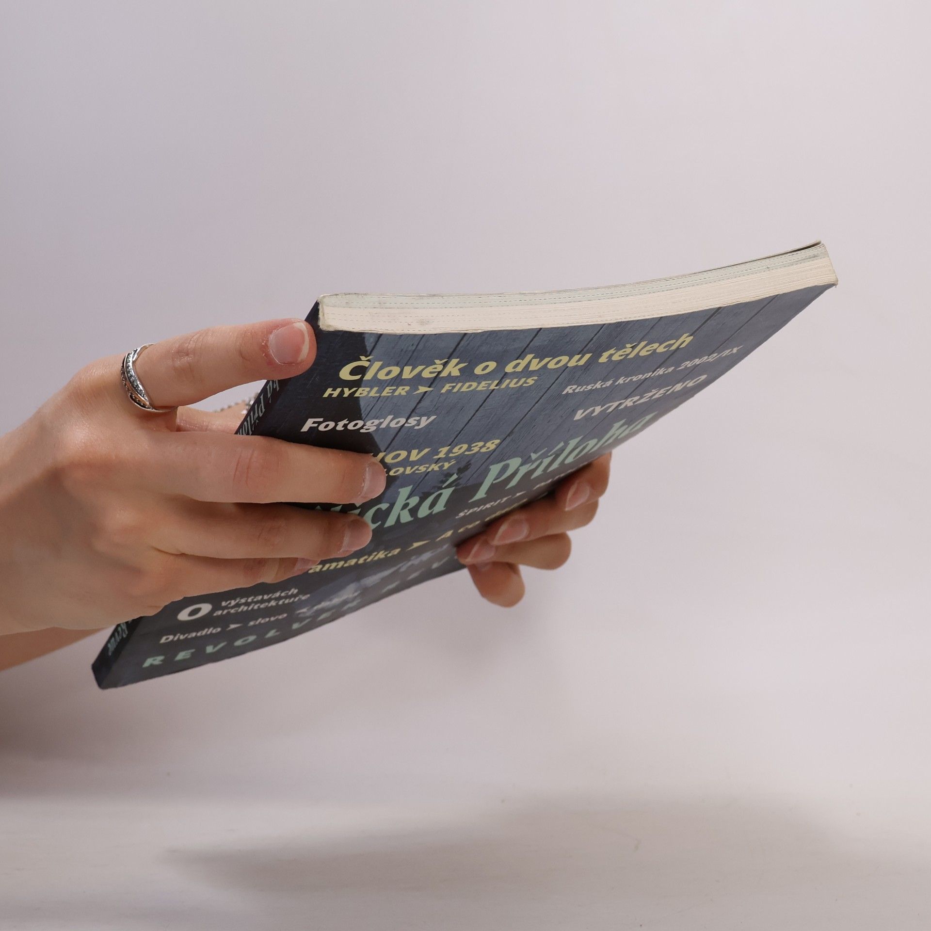 Autores varios Kritická Příloha 22., Revolver revue