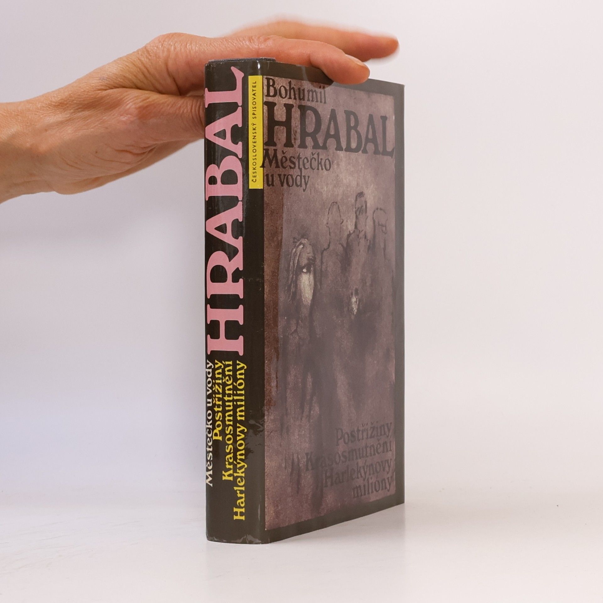 Bohumil Hrabal Městečko u vody