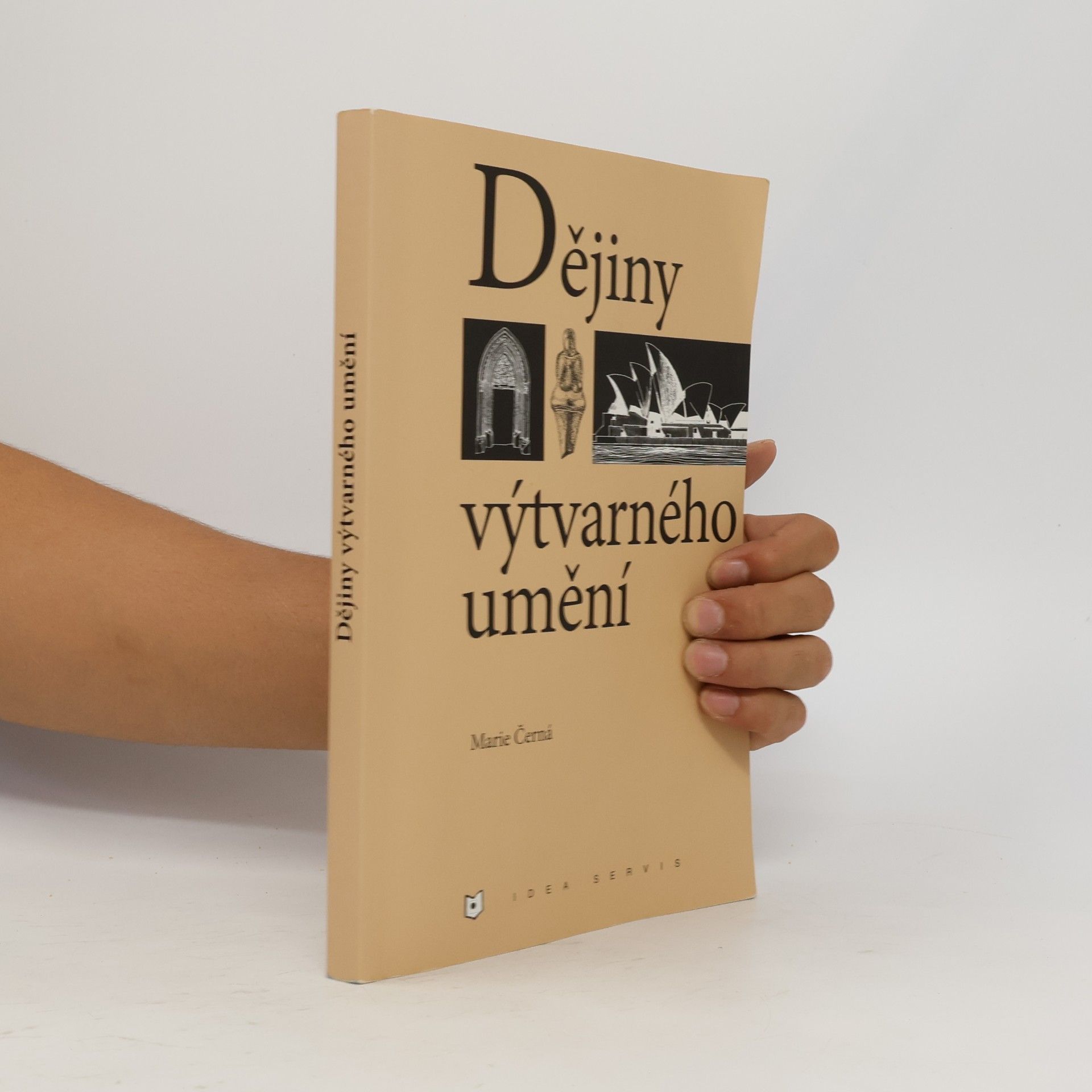 Marie Černá Dějiny výtvarného umění
