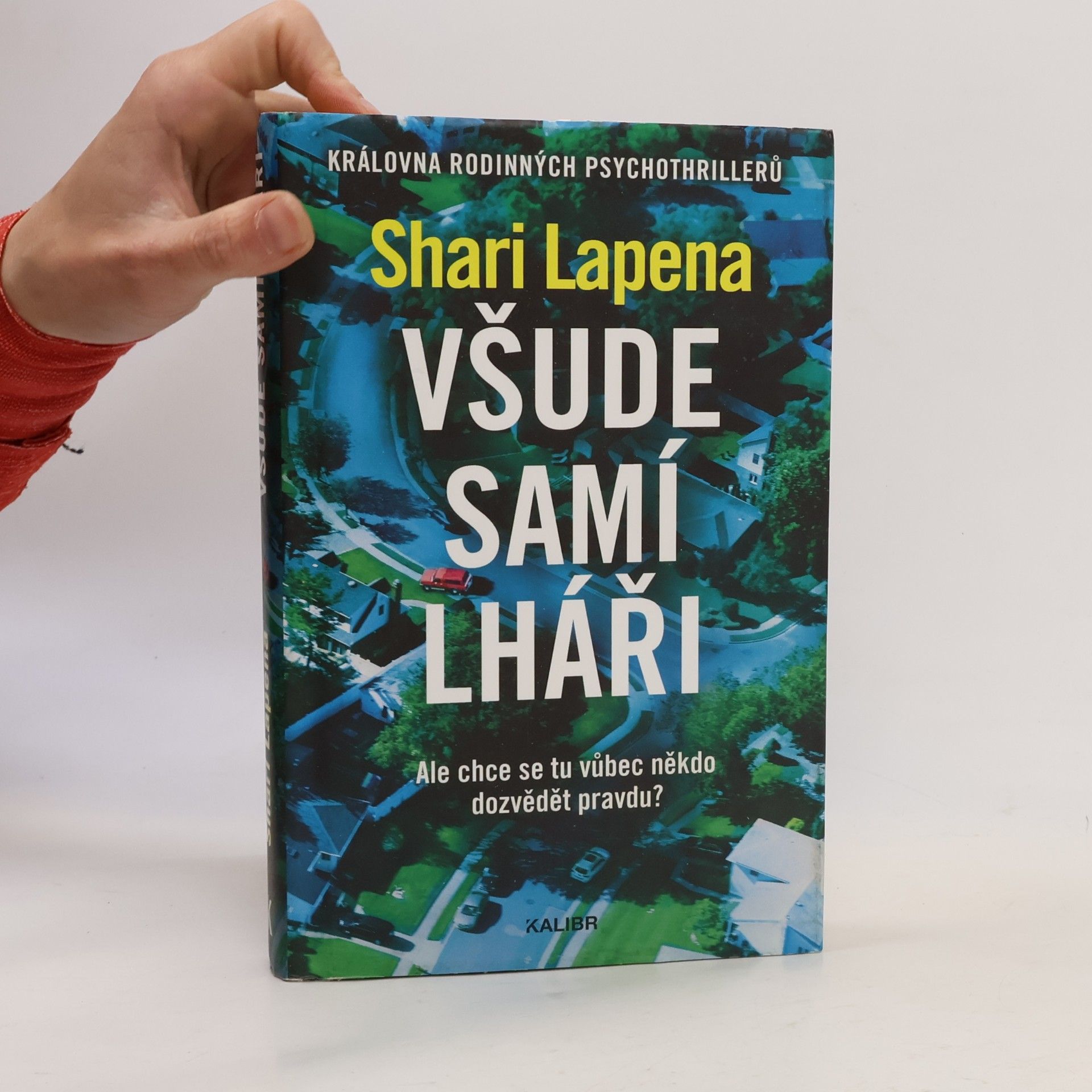 Shari Lapena Všude samí lháři
