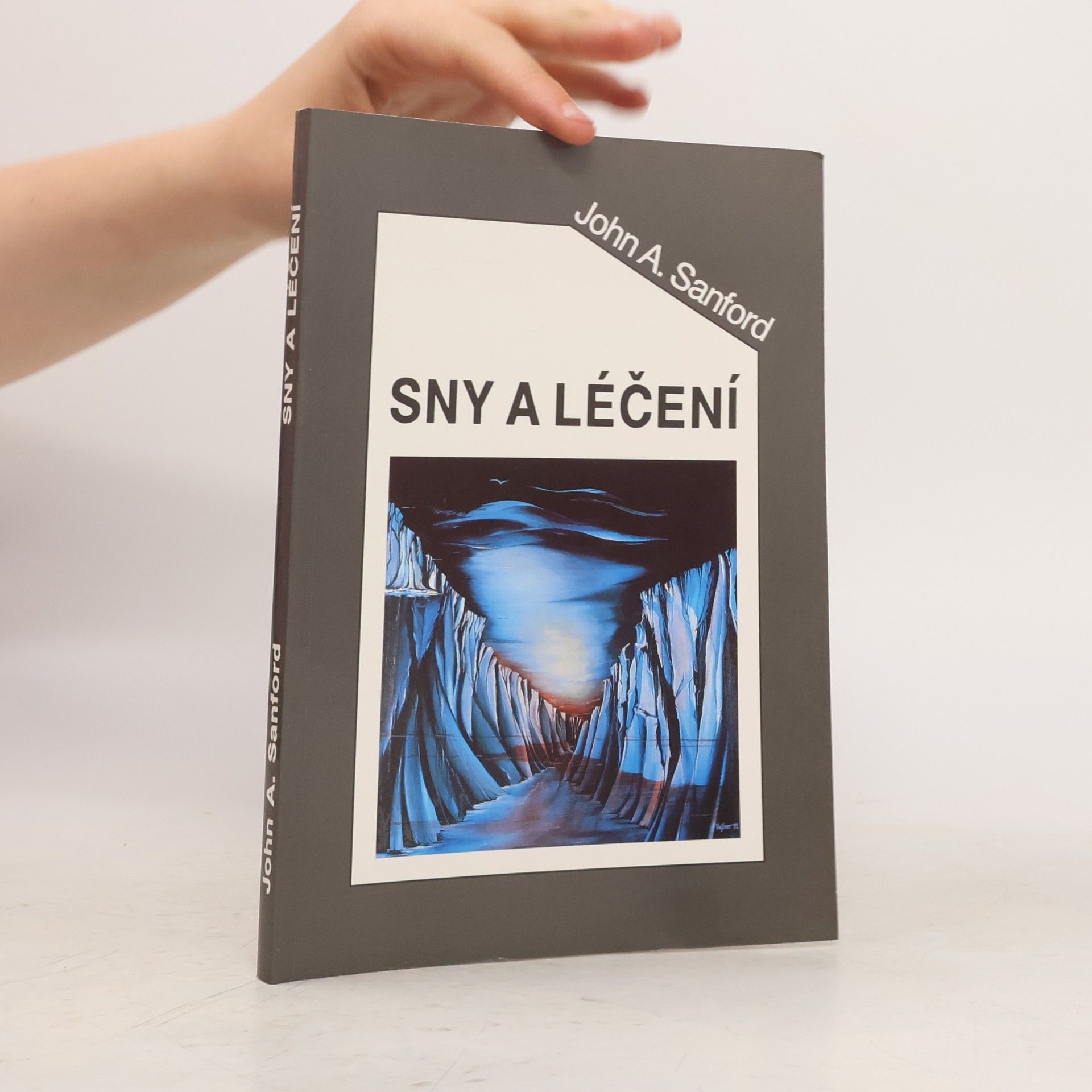 Sny a léčení. Stručný a živý výklad snů