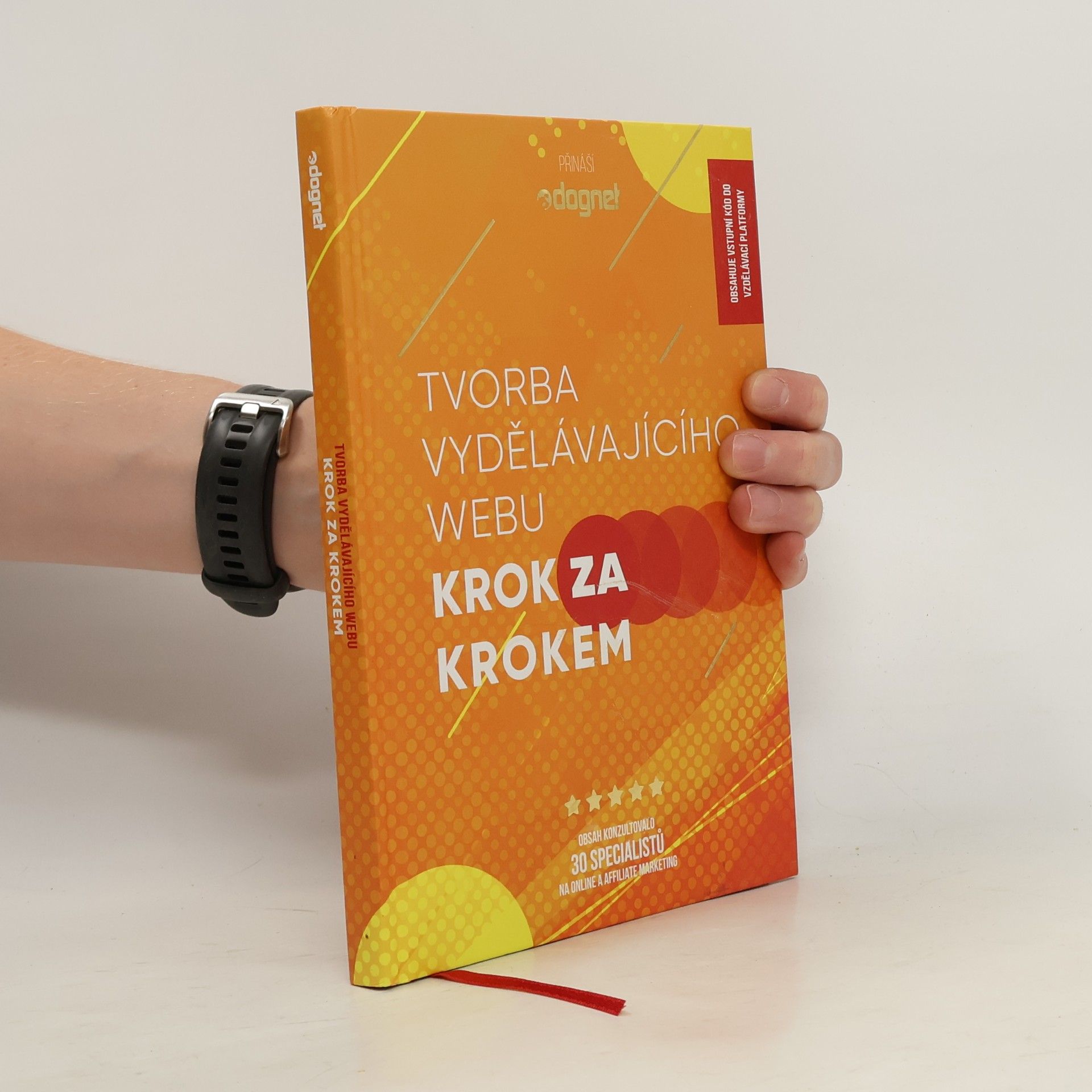 Hanka Čajková Tvorba vydělávajícího webu : krok za krokem