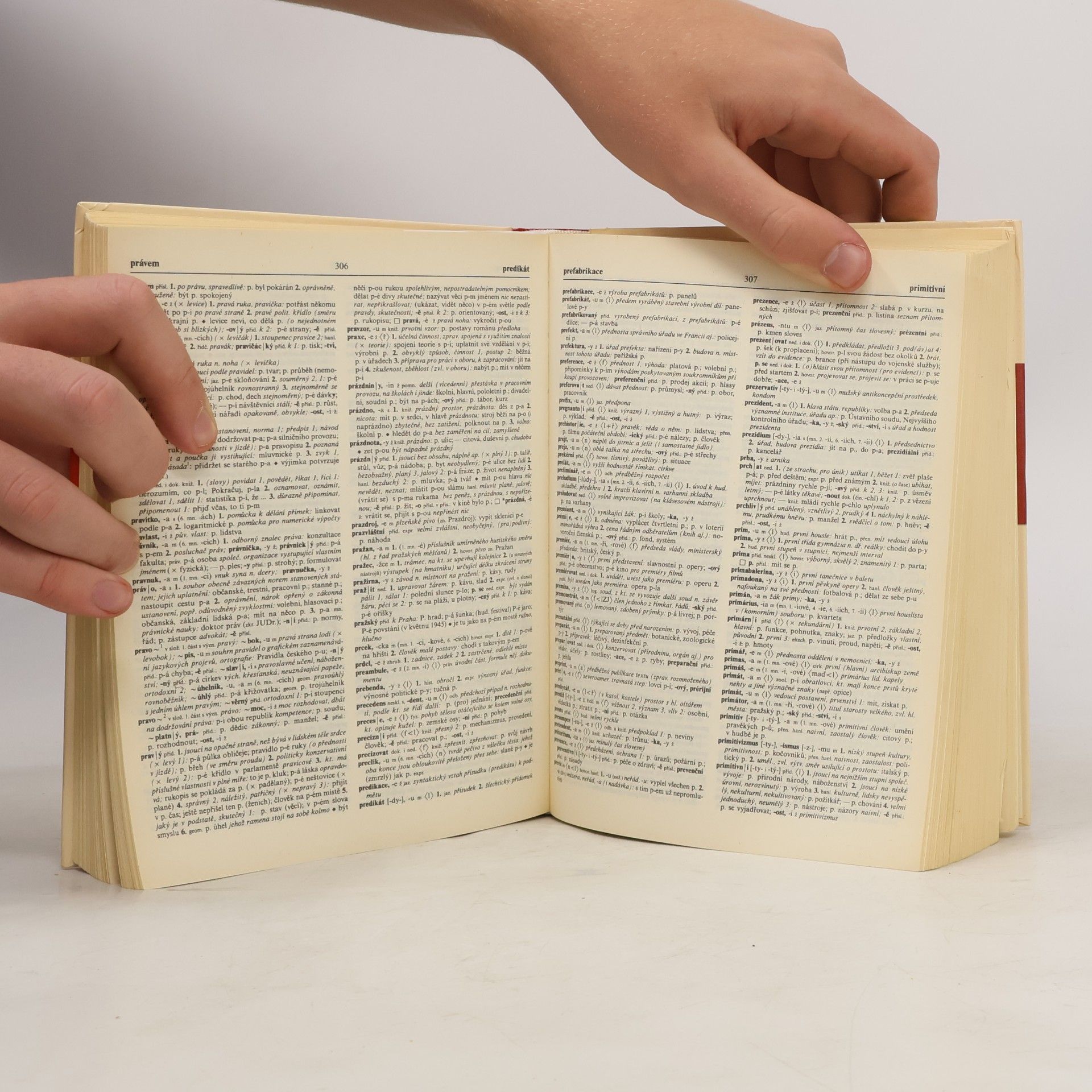 Autorenkollektiv Slovník spisovné češtiny pro školu a veřejnost