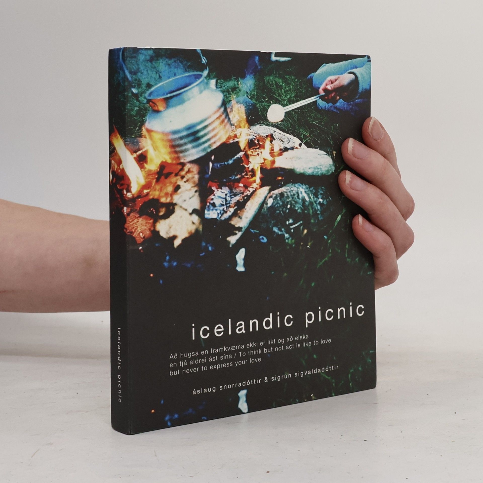 Áslaug Snorradóttir Icelandic Picnic