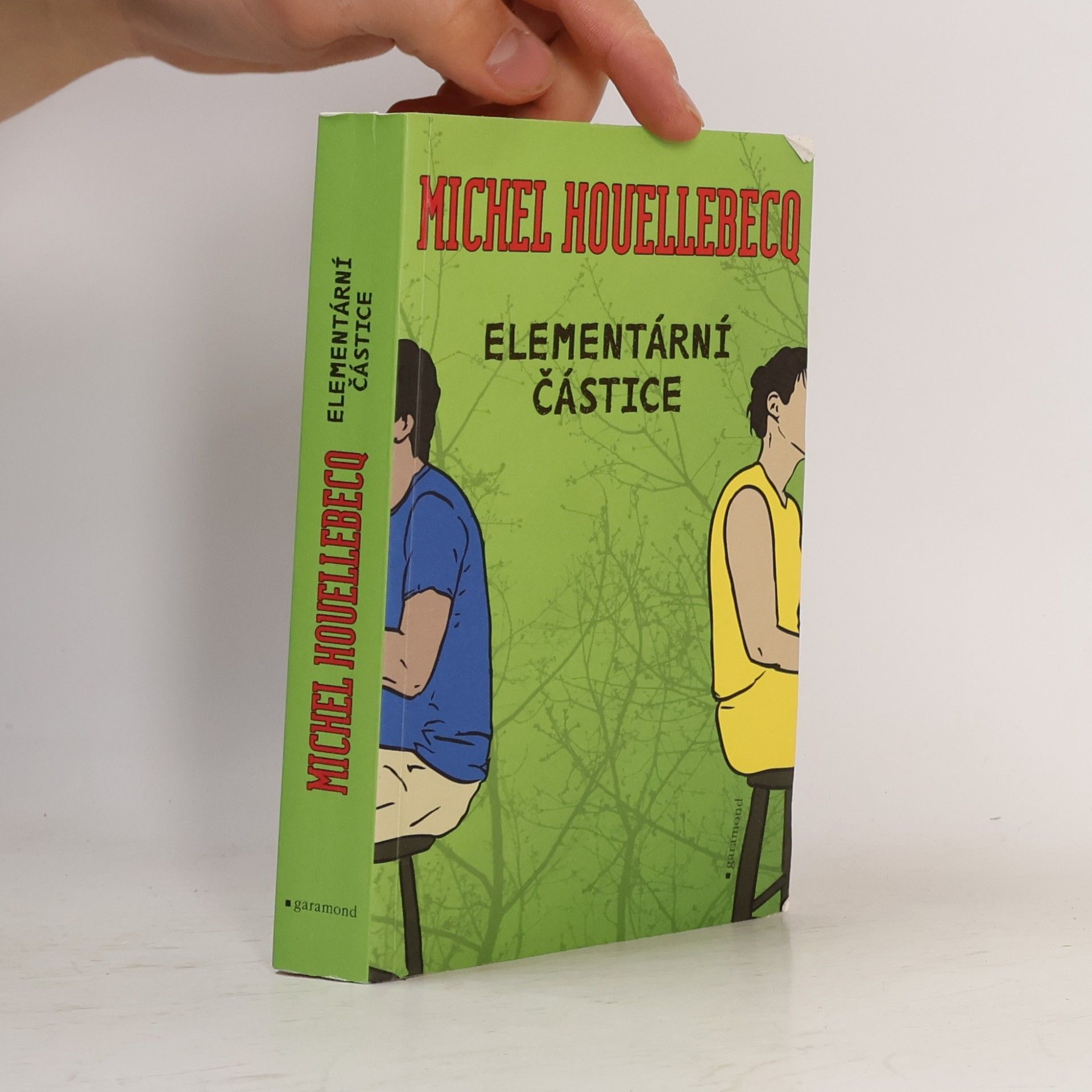 Michel Houellebecq Elementární částice