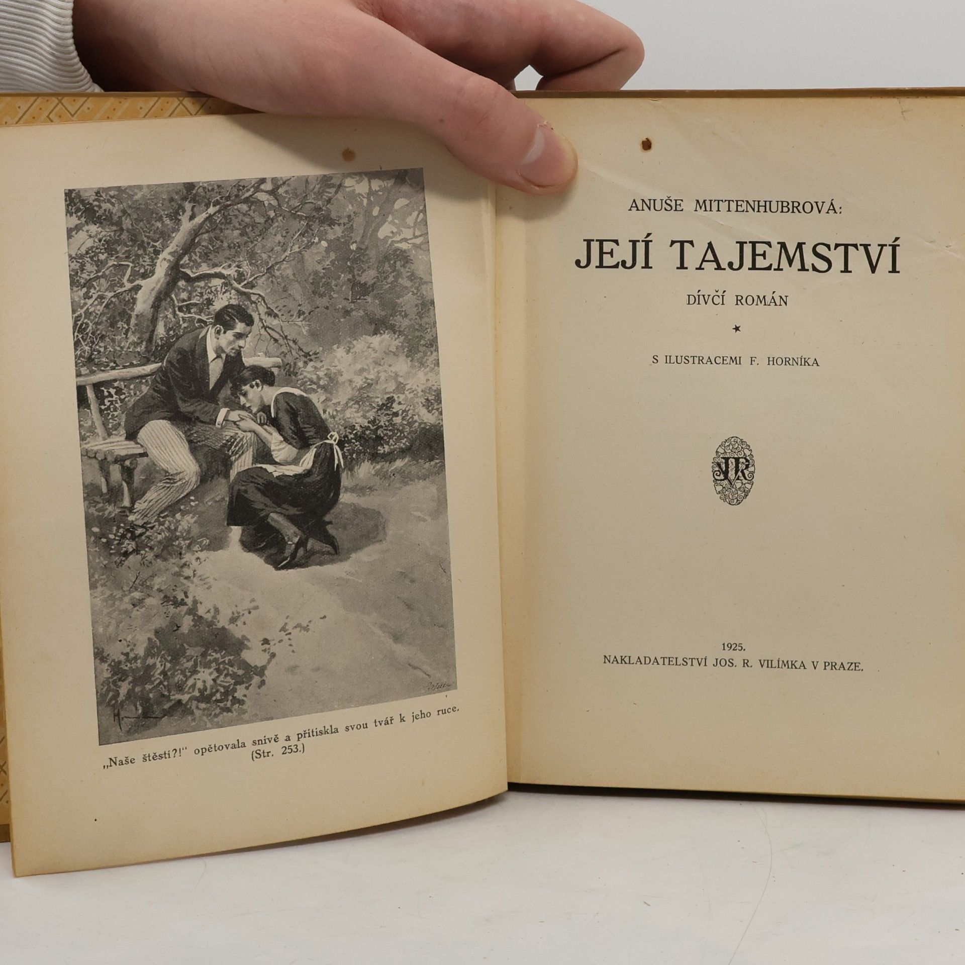 Anuše Mittenhubrová Její tajemství