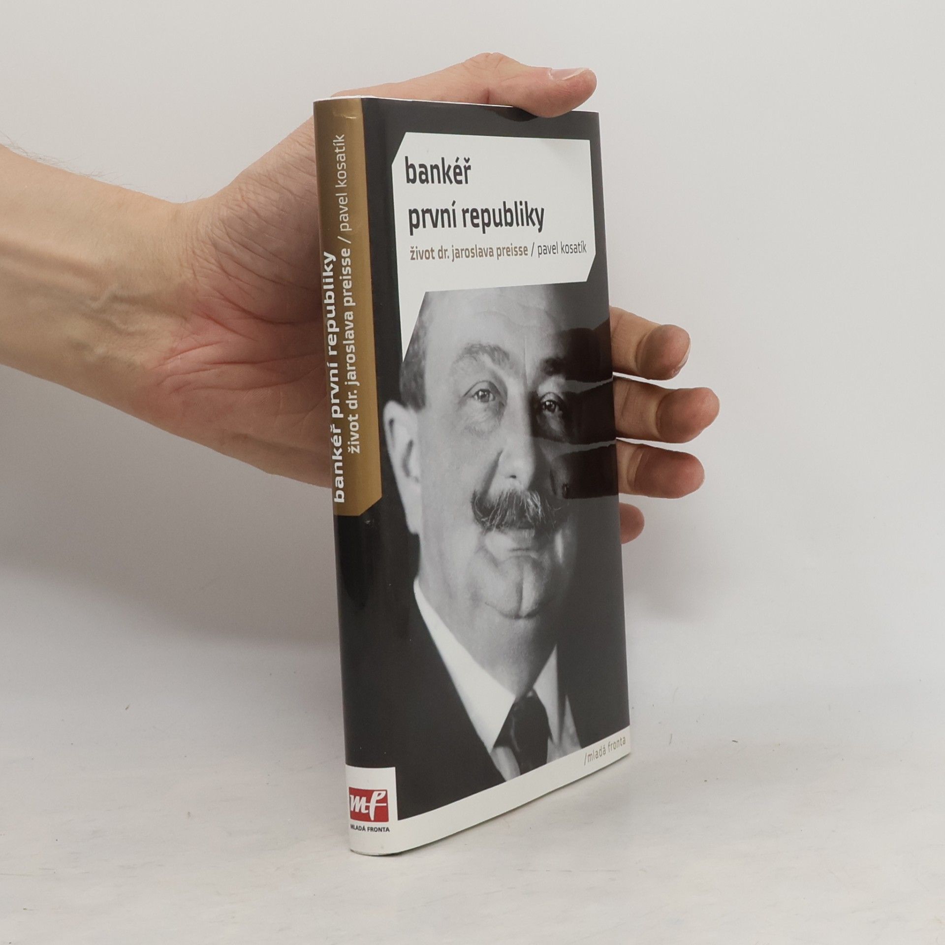 Pavel Kosatík Bankéř první republiky