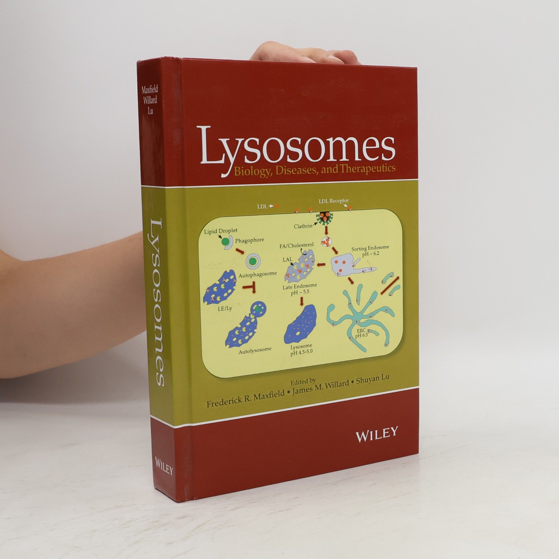James M. Willard Lysosomes