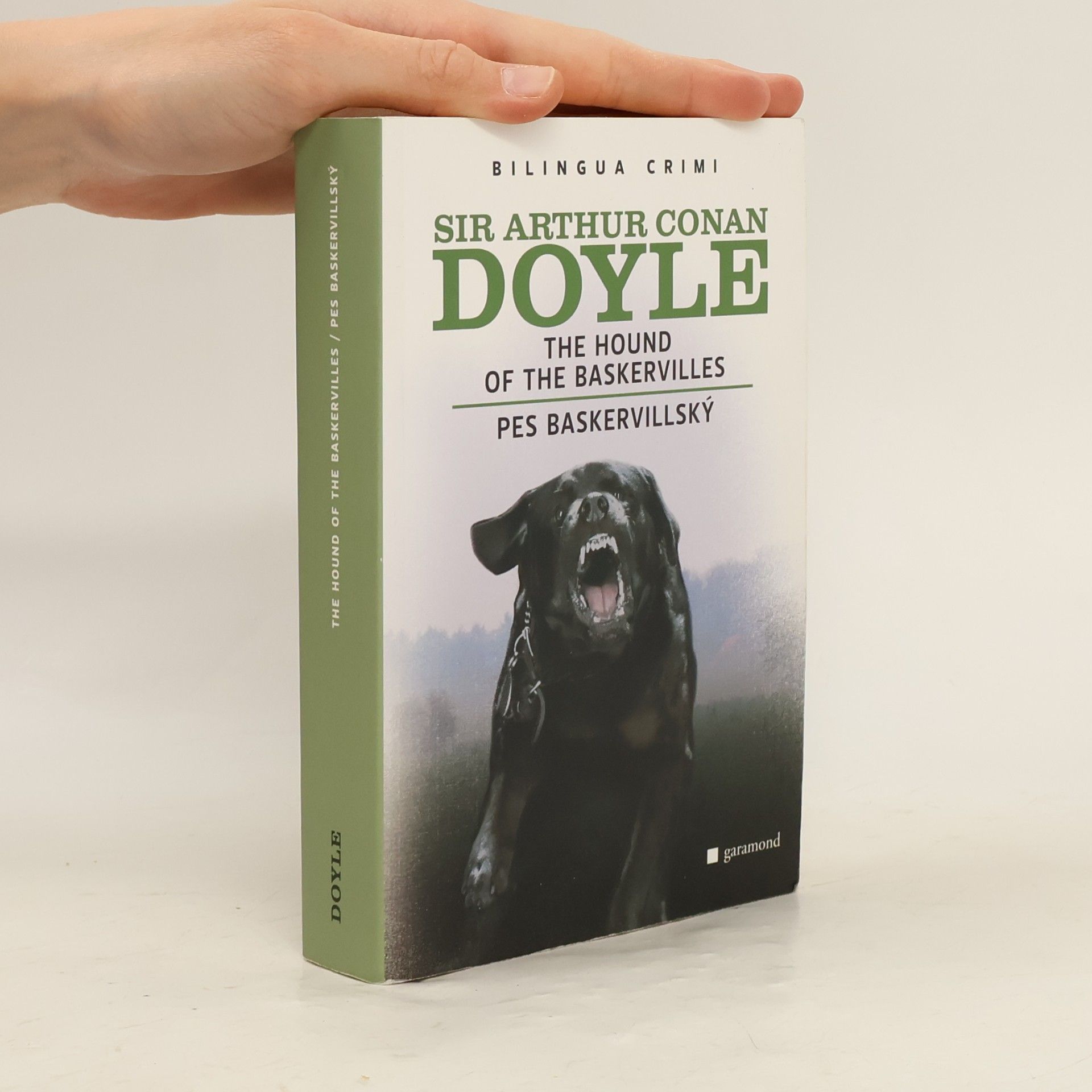 Arthur Conan Doyle The Hound of The Baskervilles. Pes baskervillský