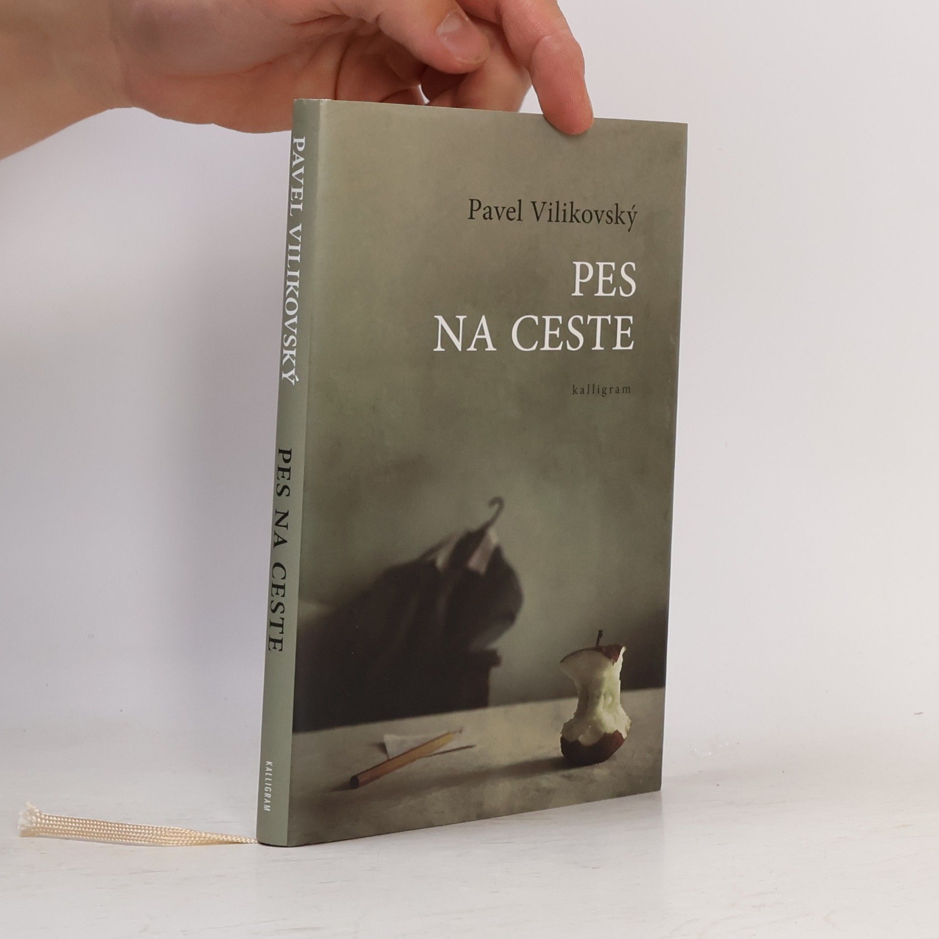 Pavel Vilikovský Pes na ceste