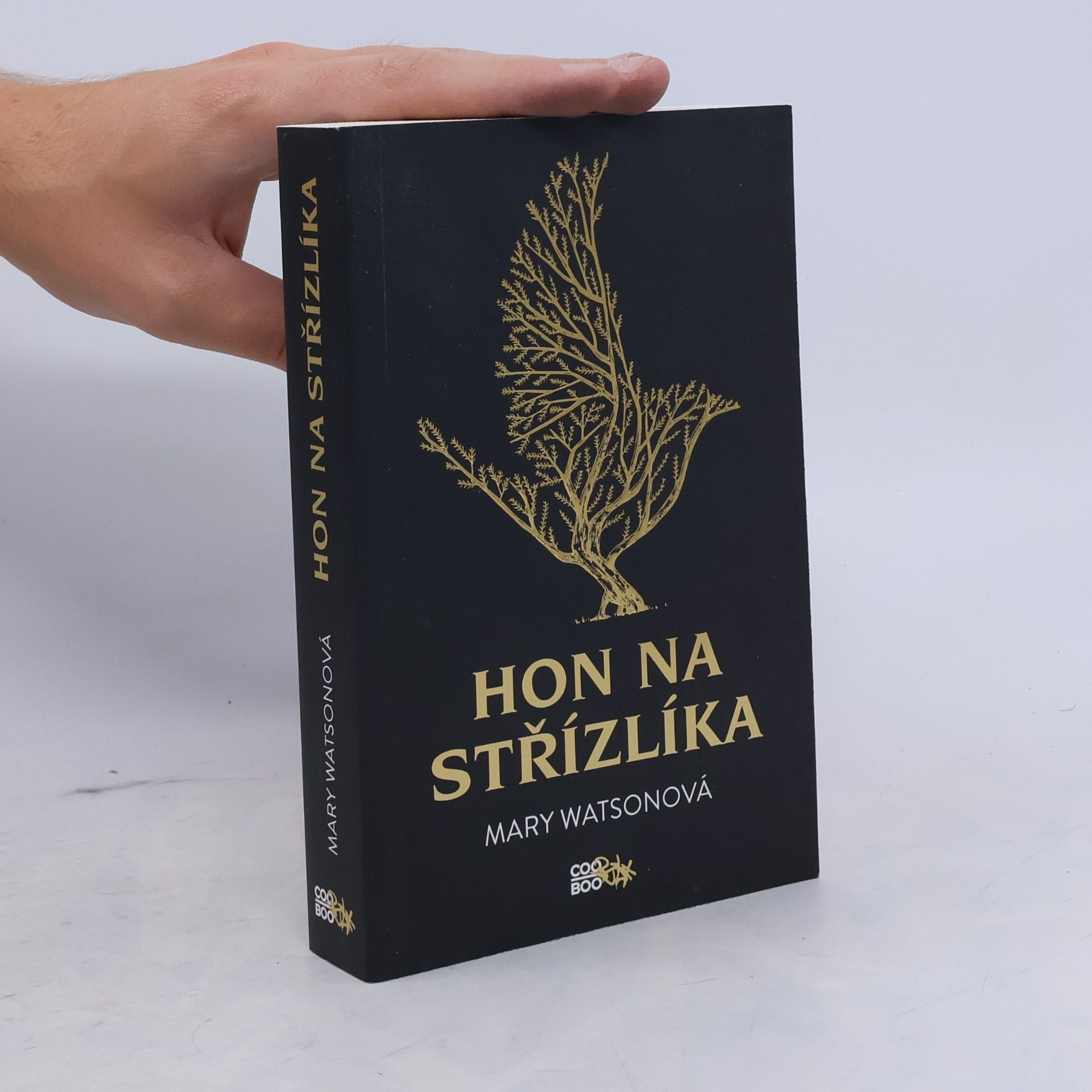 Mary Watson Hon na střízlíka