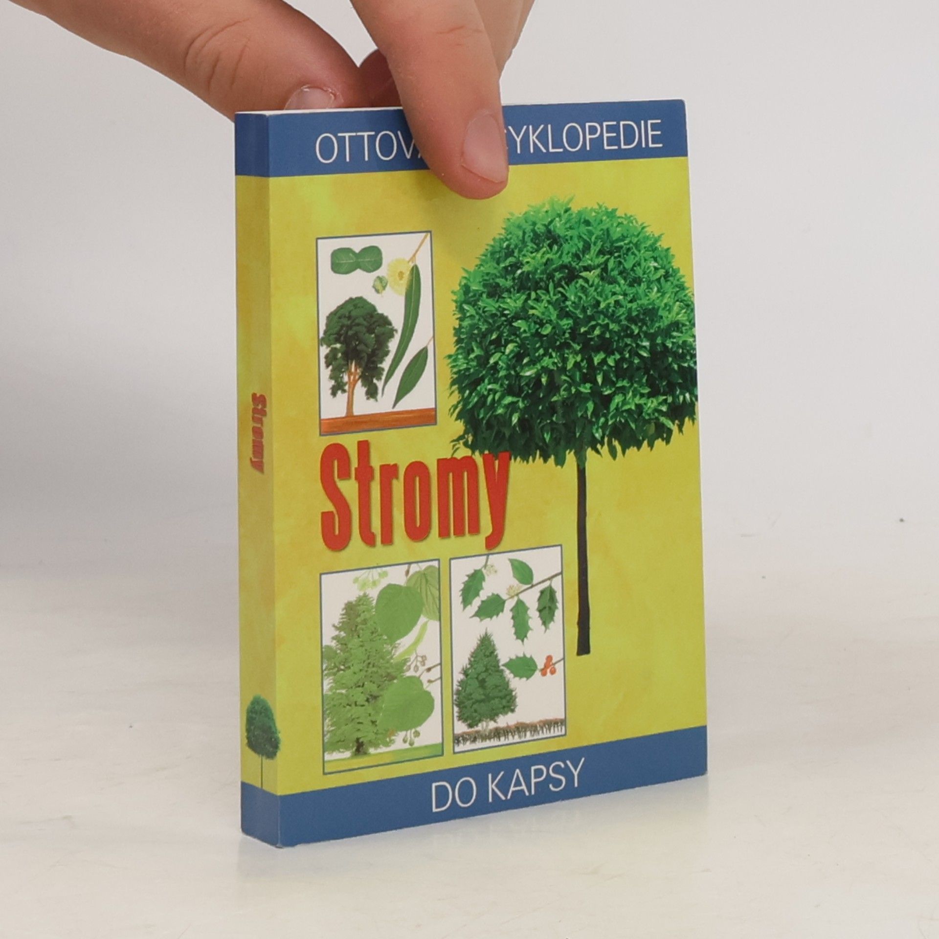 Alastair Fiter Stromy