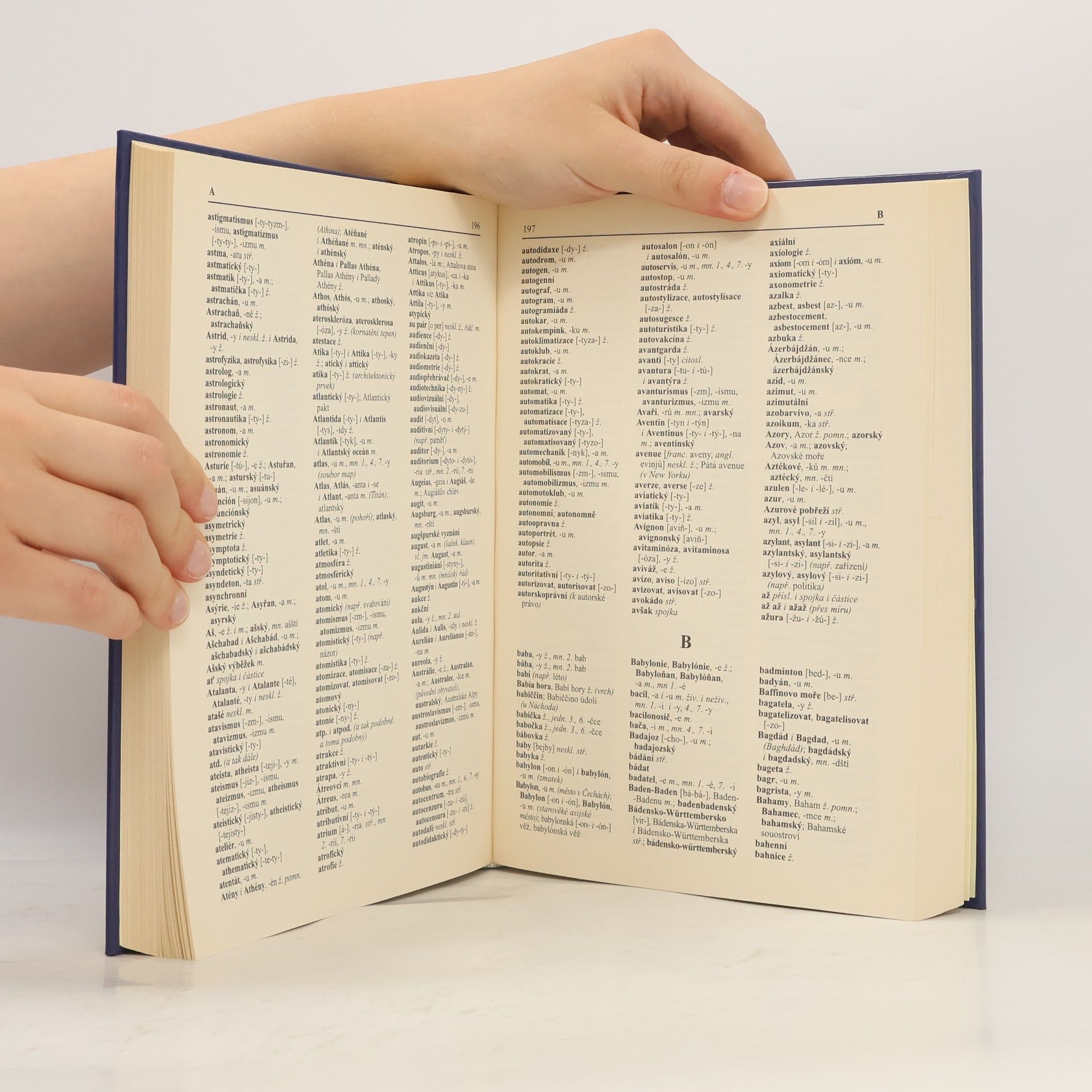 Various authors Pravidla českého pravopisu s výkladem mluvnice