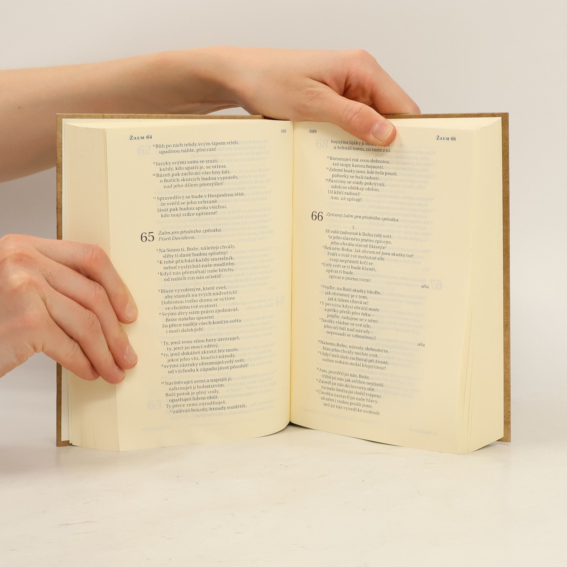 Kolektiv autorů Bible. Překlad 21. století