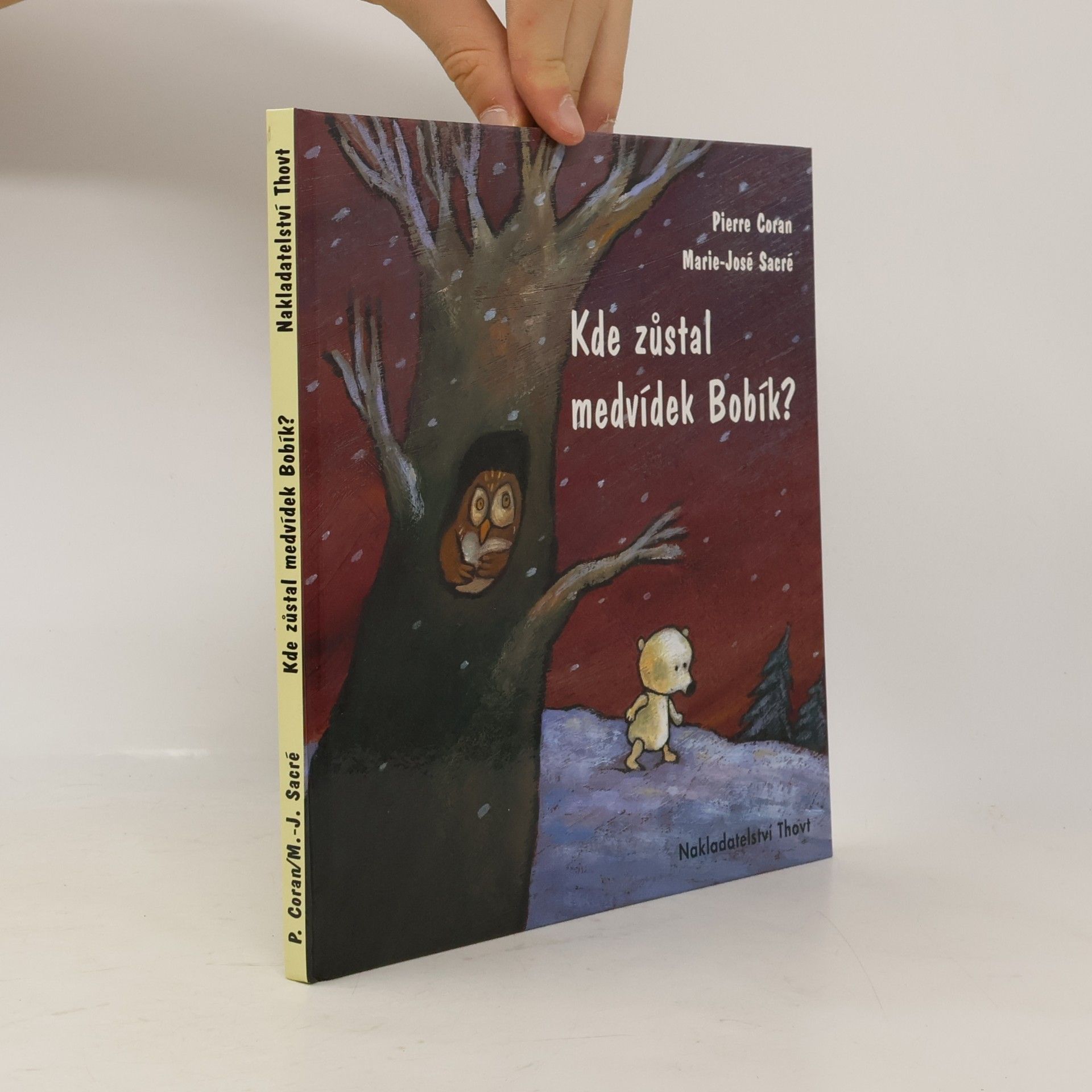 Pierre Coran Kde zůstal medvídek Bobík?