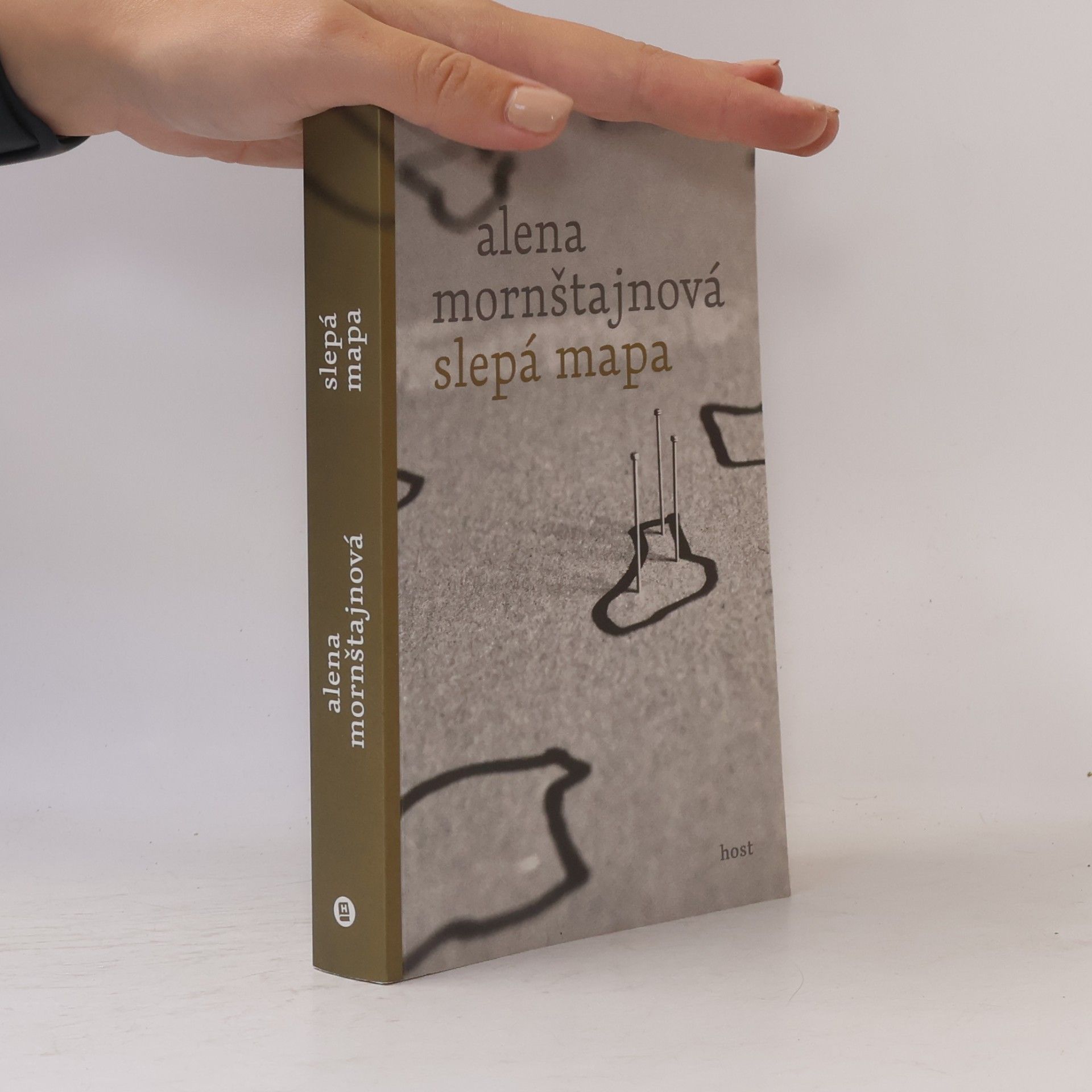 Alena Mornštajnová Slepá mapa