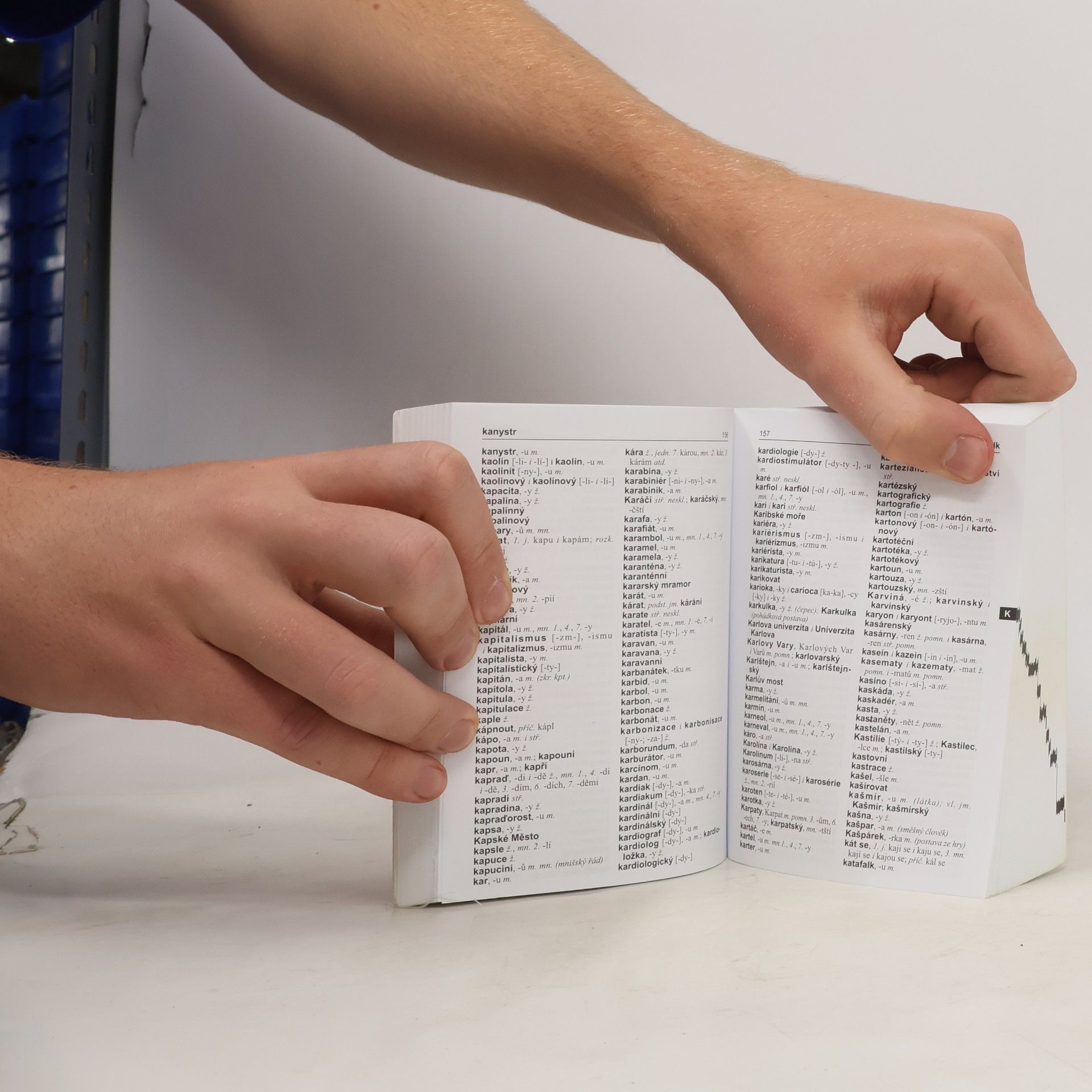 Kolektiv autorů Pravidla českého pravopisu s kompletním zapracováním dodatku MŠMT ČR