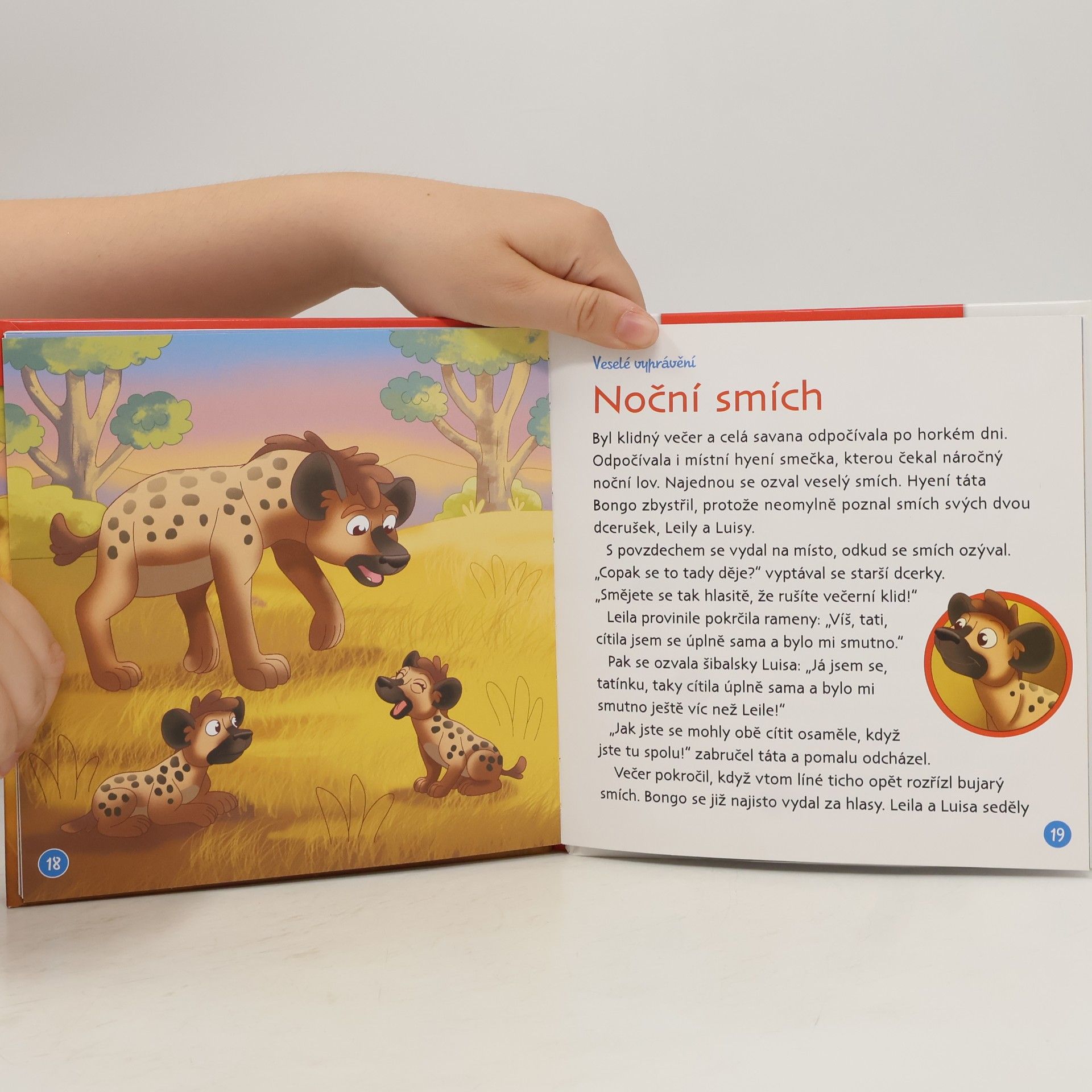 Kolektiv autorů Bydlím v savaně 11. Hyena