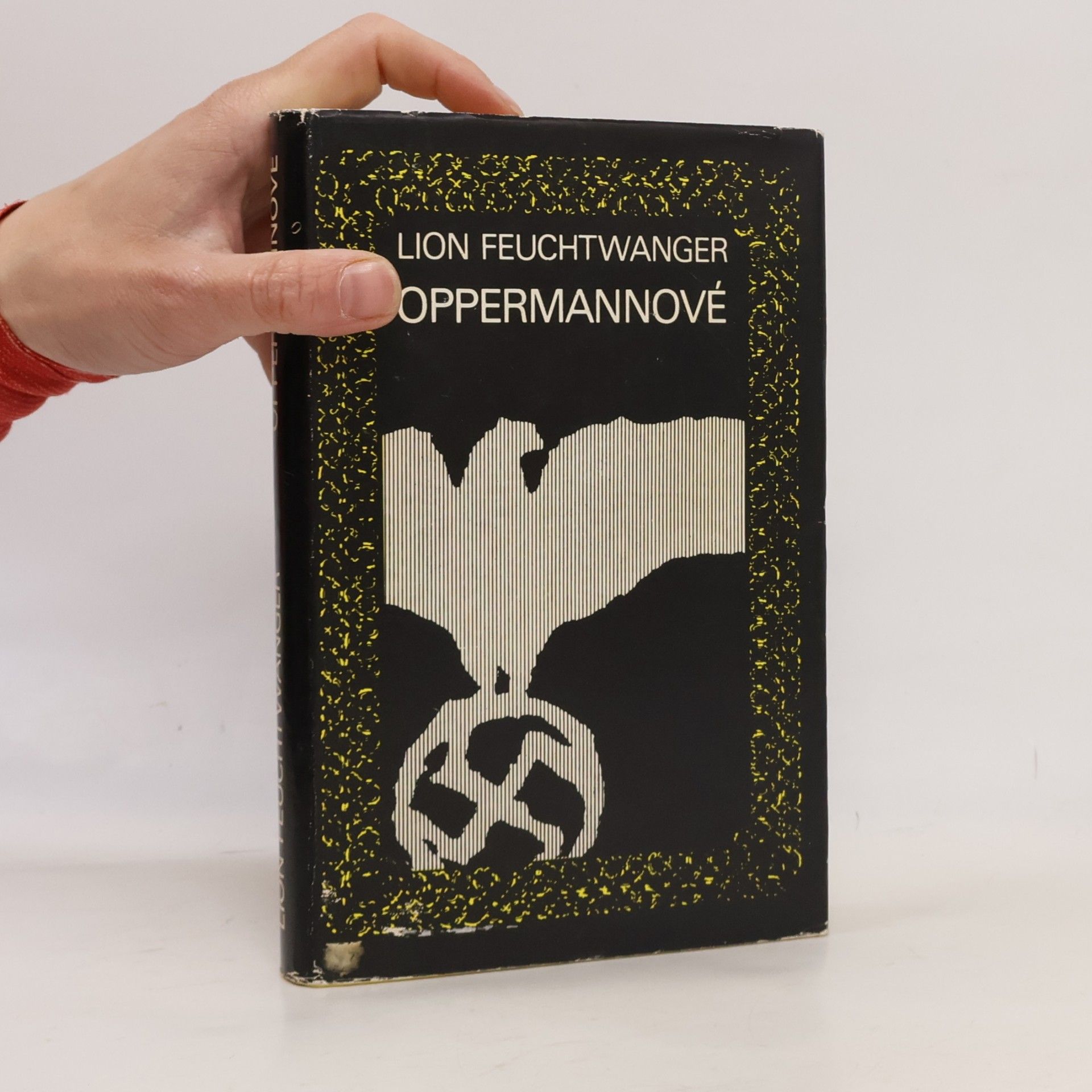 Lion Feuchtwanger Oppermannové