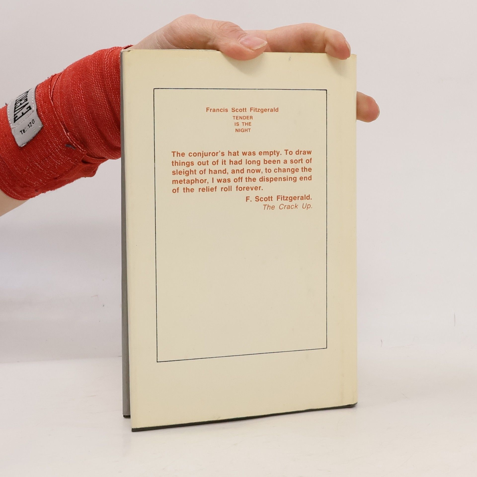 F. Scott Fitzgerald Tender is the Night