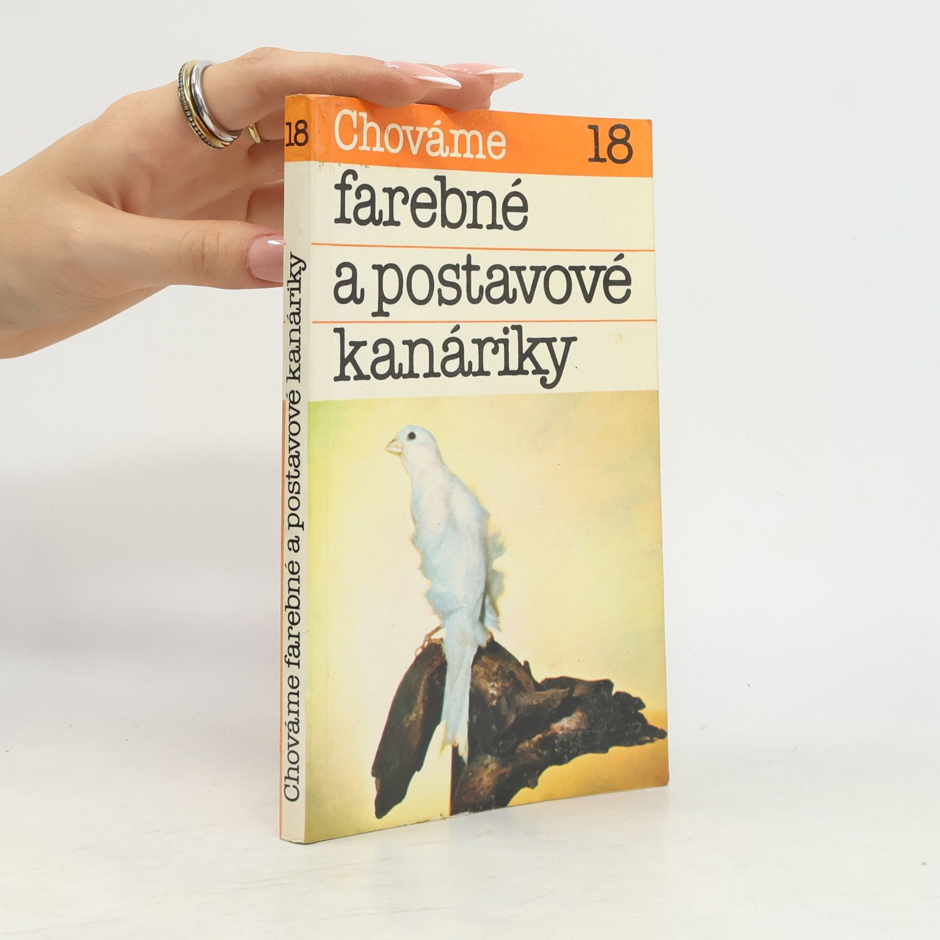 Bystrík Ambruš Chováme 18. farebné a postavové kanáriky