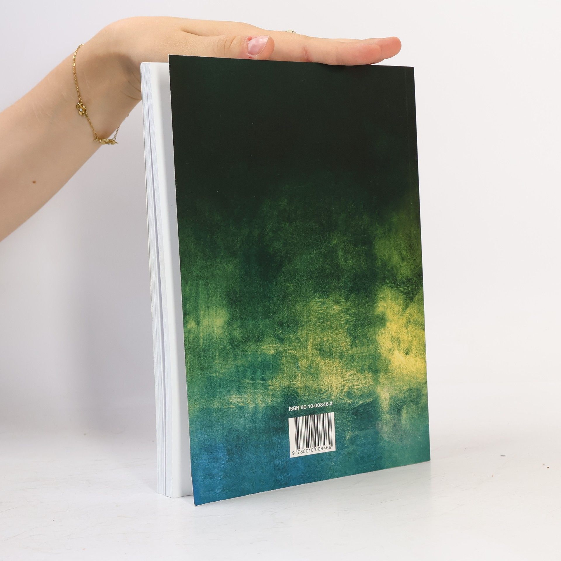 Autorenkollektiv Panoráma slovenskej literatúry III