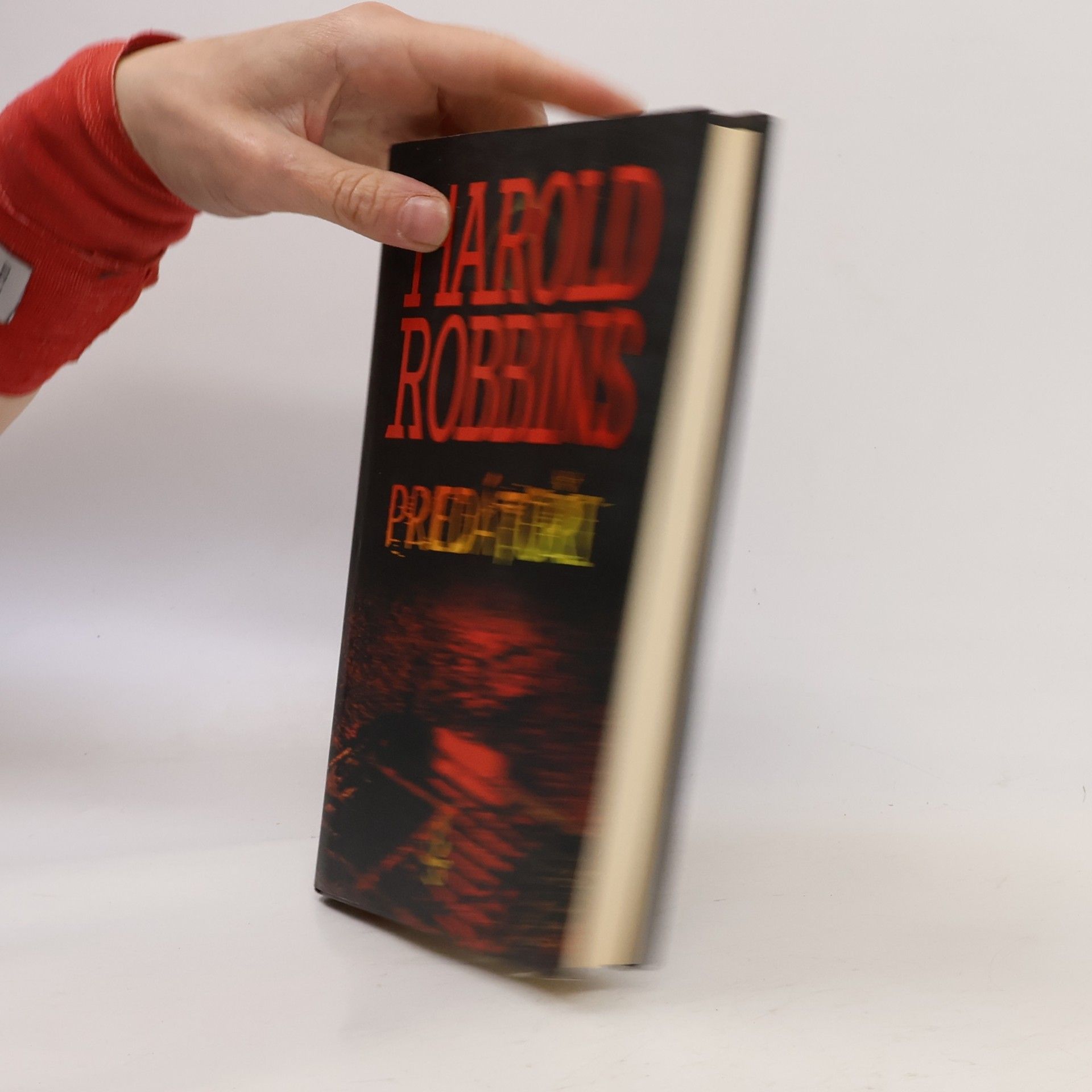 Harold Robbins Predátoři